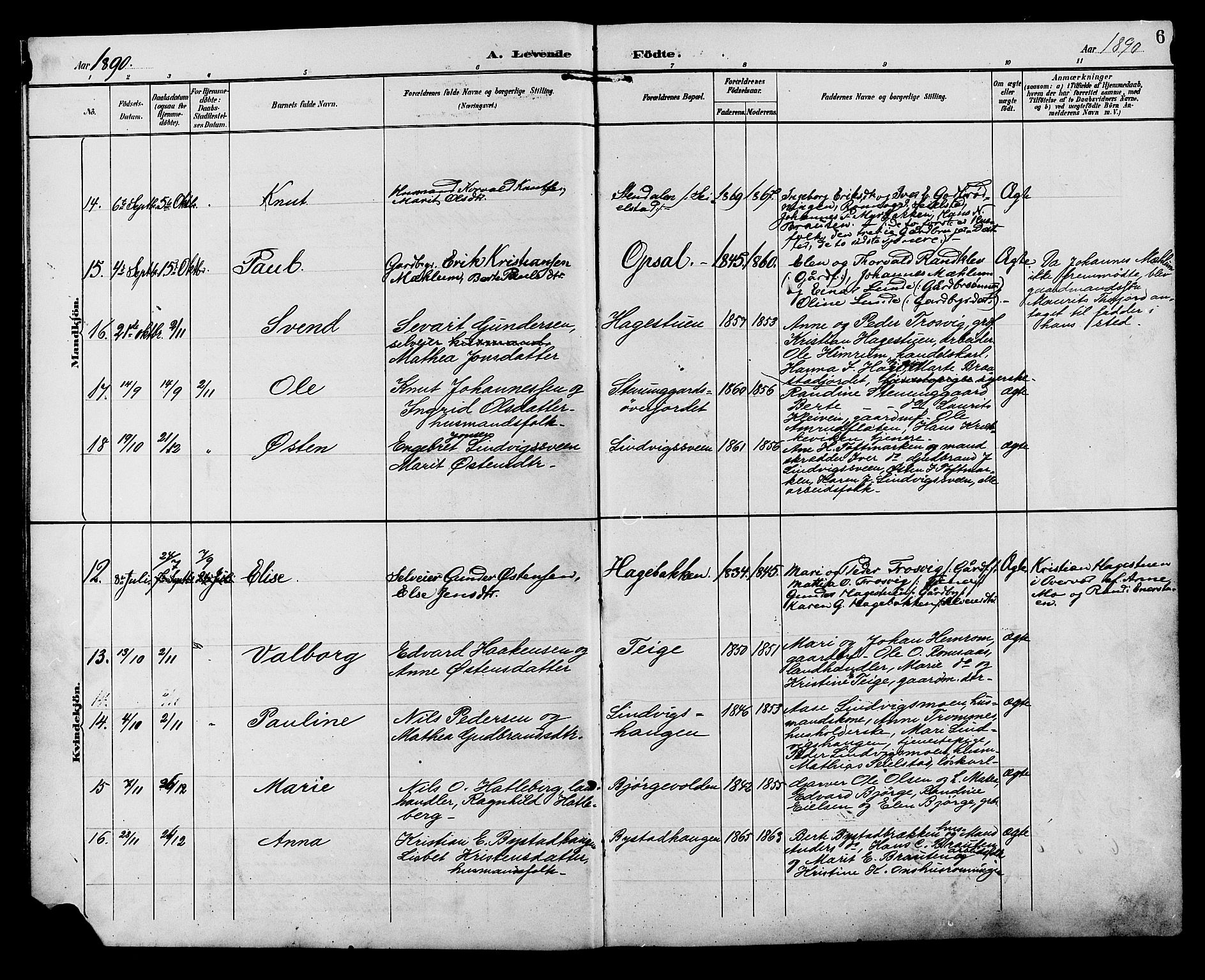 Ringebu prestekontor, SAH/PREST-082/H/Ha/Hab/L0007: Parish register (copy) no. 7, 1890-1910, p. 6