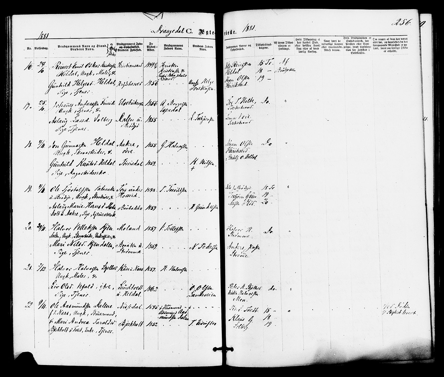 Drangedal kirkebøker, SAKO/A-258/F/Fa/L0009: Parish register (official) no. 9 /1, 1872-1884, p. 256