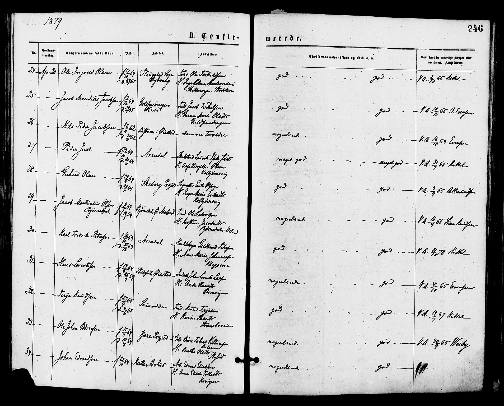 Barbu sokneprestkontor, AV/SAK-1111-0003/F/Fa/L0001: Parish register (official) no. A 1 /1, 1878-1883, p. 246