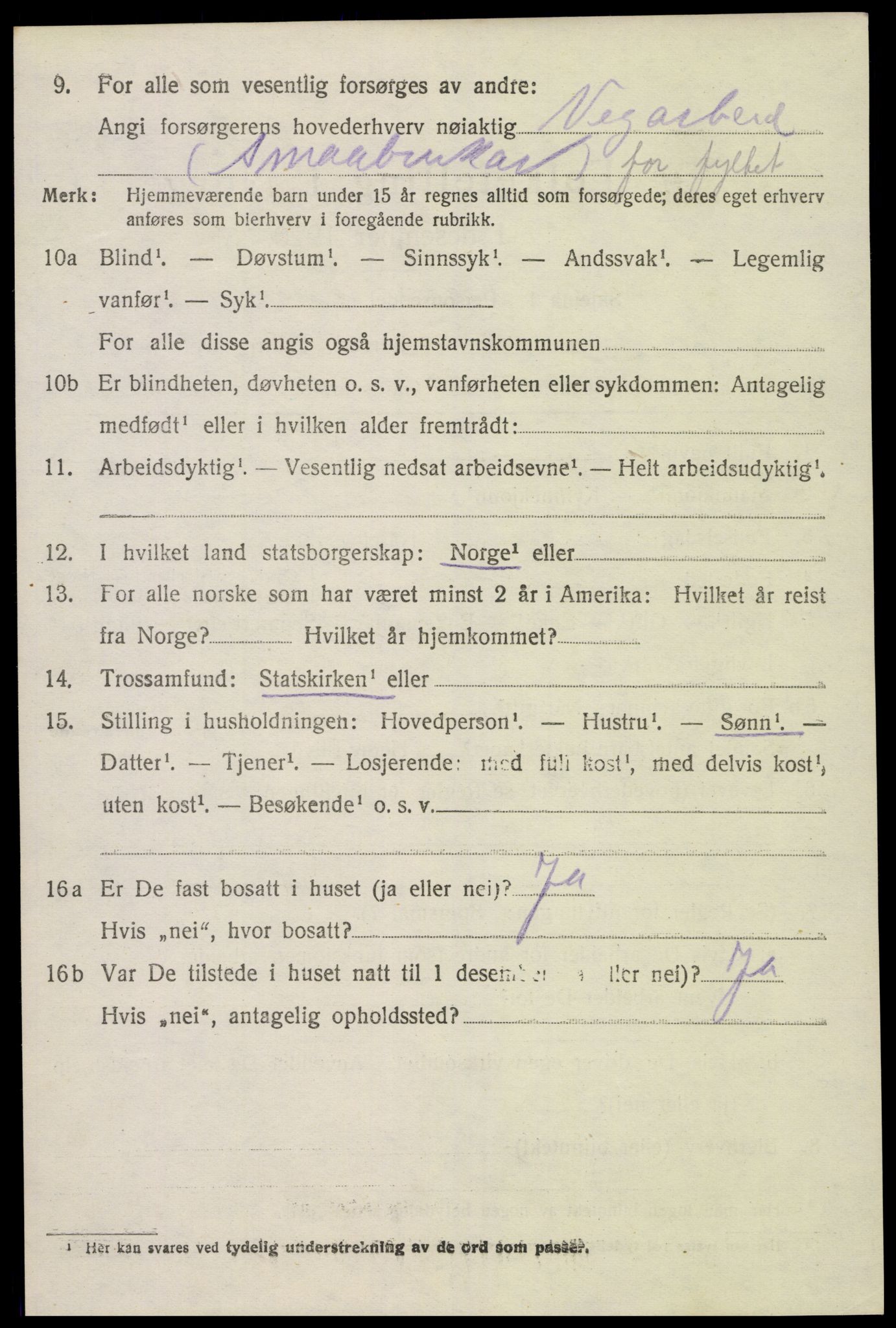 SAK, 1920 census for Hornnes, 1920, p. 1028