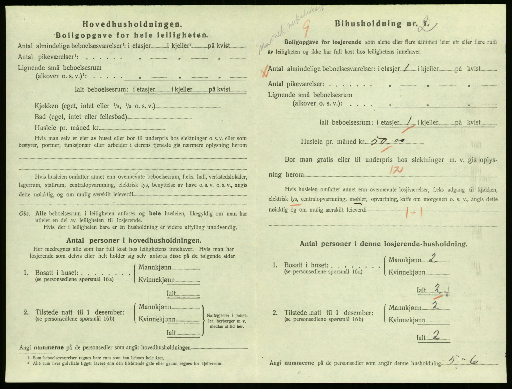 RA, 1920 census: Additional forms, 1920, p. 15