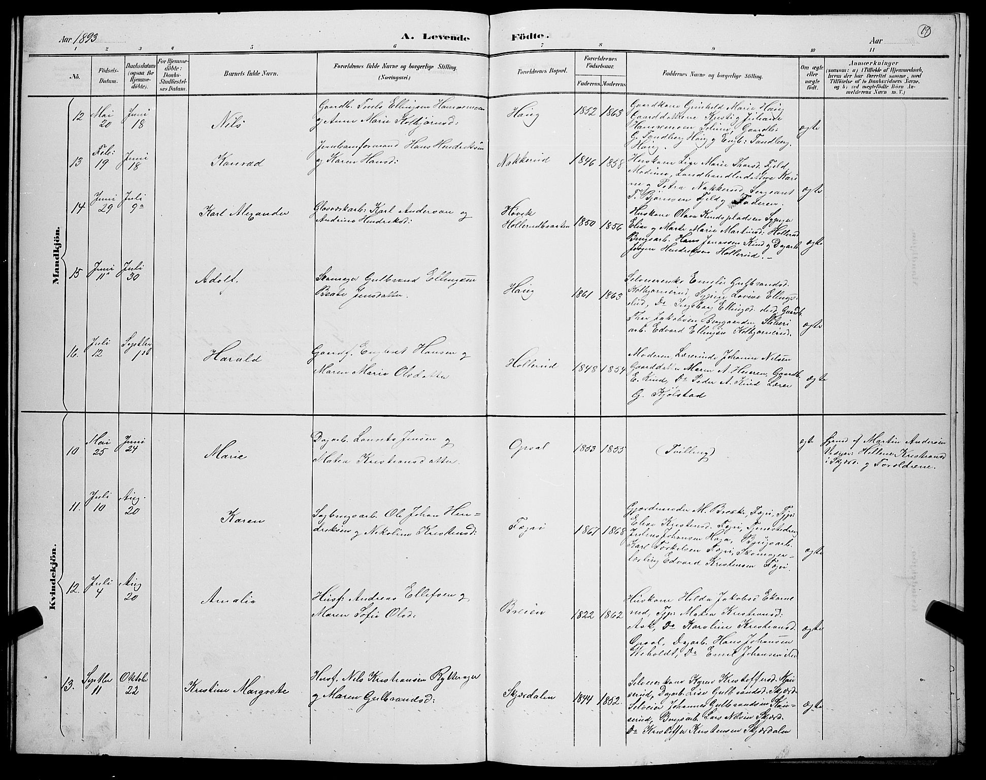 Hole kirkebøker, SAKO/A-228/G/Gb/L0003: Parish register (copy) no. II 3, 1890-1901, p. 19
