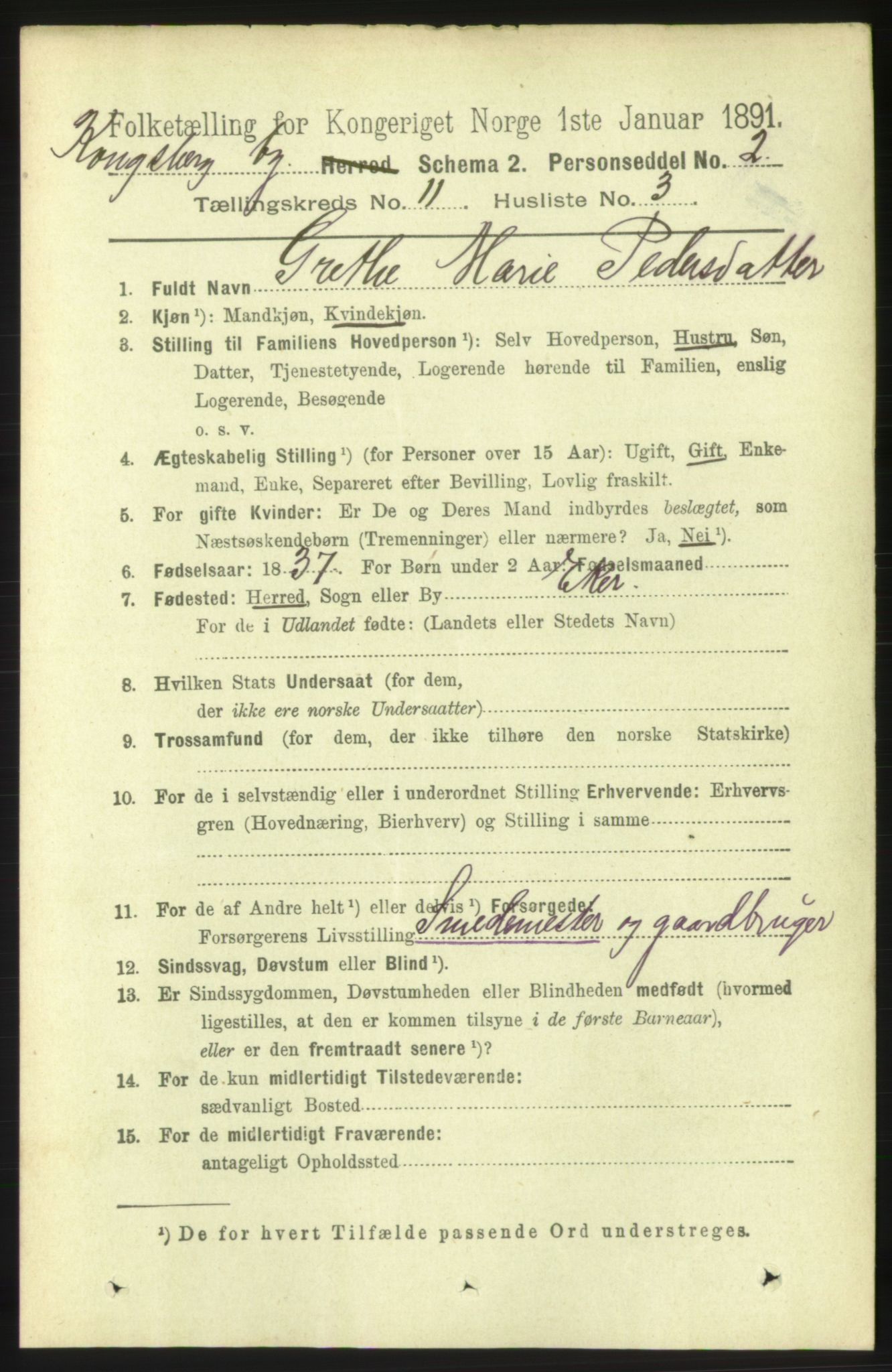 RA, 1891 census for 0604 Kongsberg, 1891, p. 6838