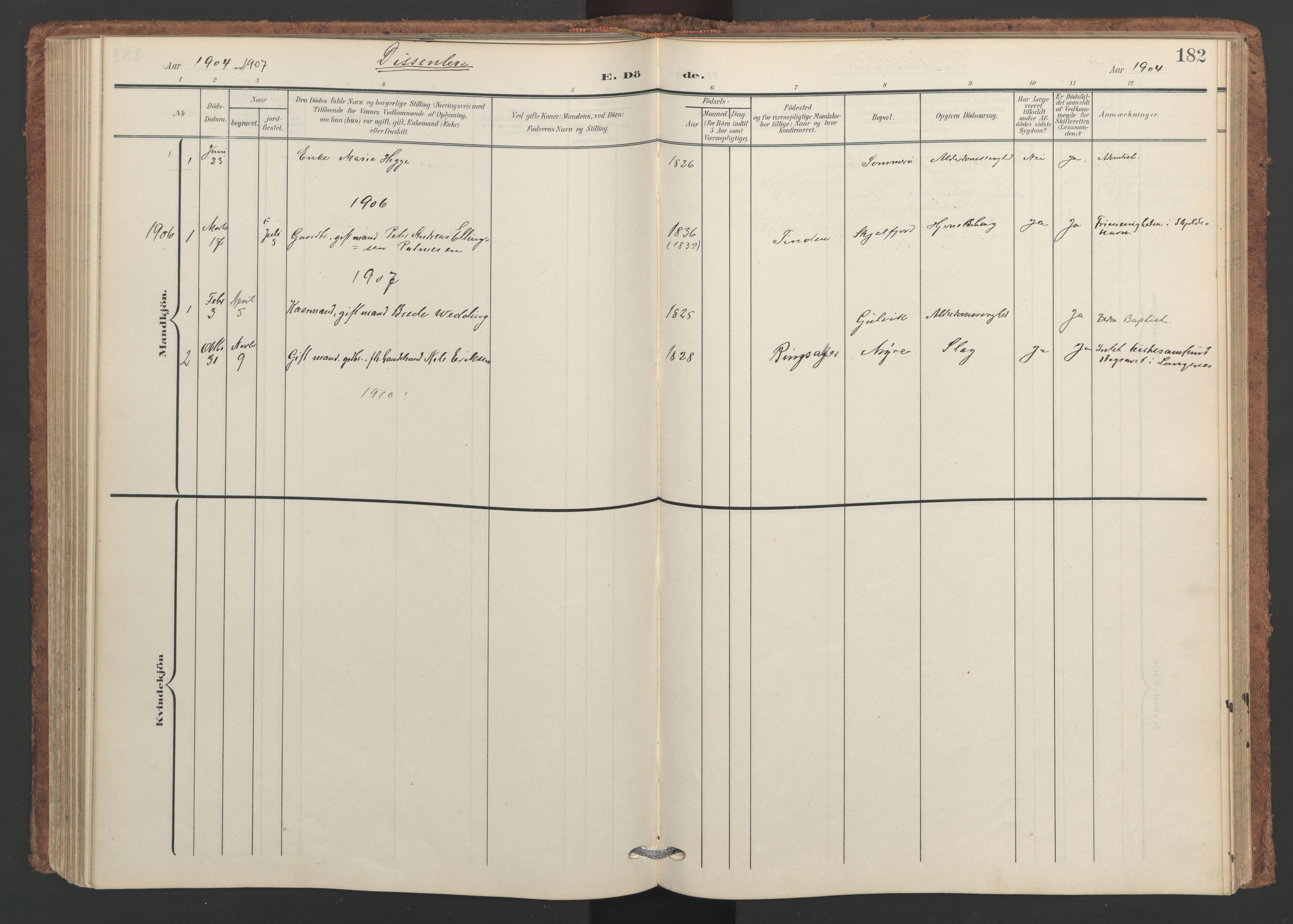 Ministerialprotokoller, klokkerbøker og fødselsregistre - Nordland, SAT/A-1459/893/L1339: Parish register (official) no. 893A11, 1904-1914, p. 182