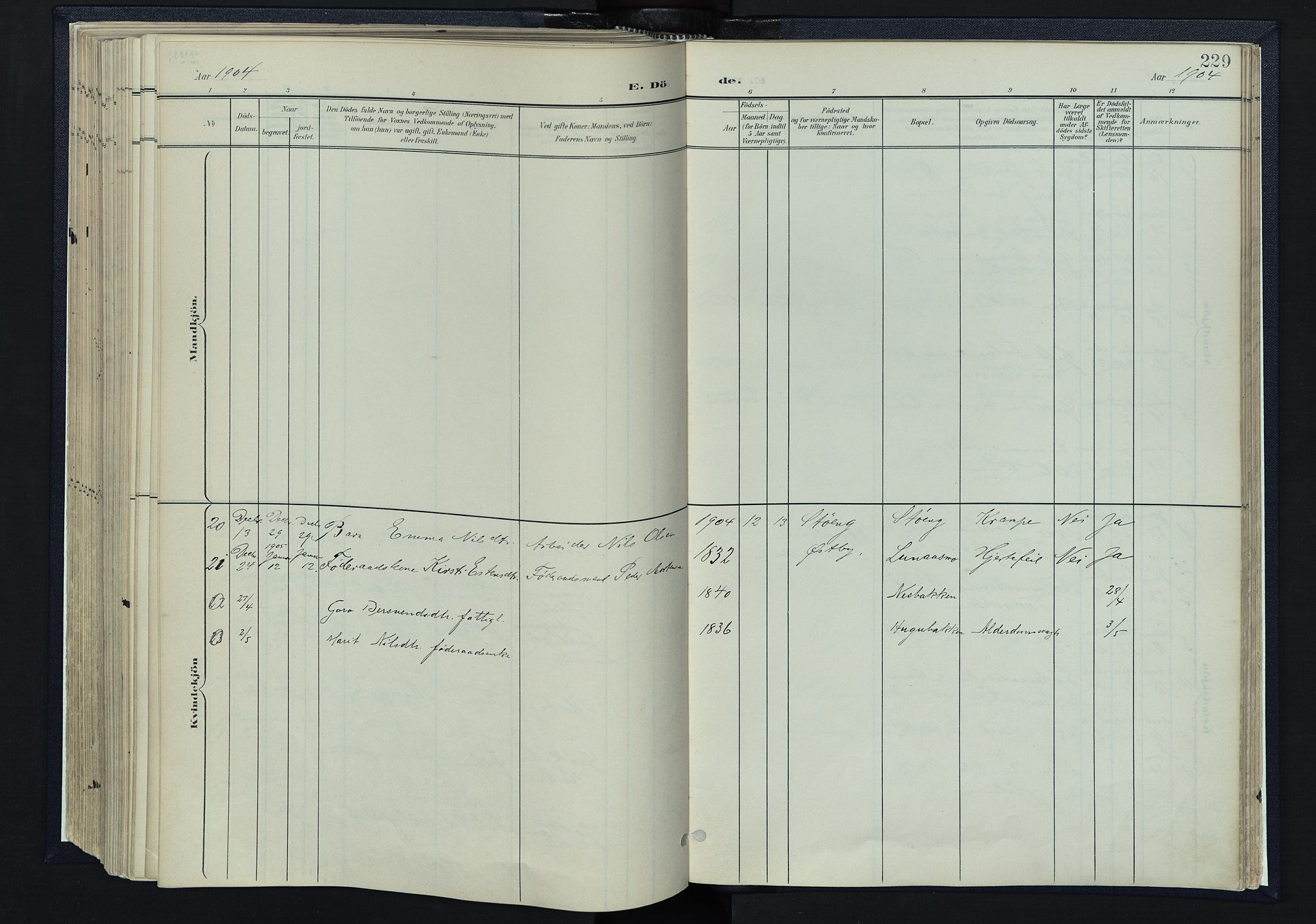 Tynset prestekontor, AV/SAH-PREST-058/H/Ha/Haa/L0025: Parish register (official) no. 25, 1900-1914, p. 229