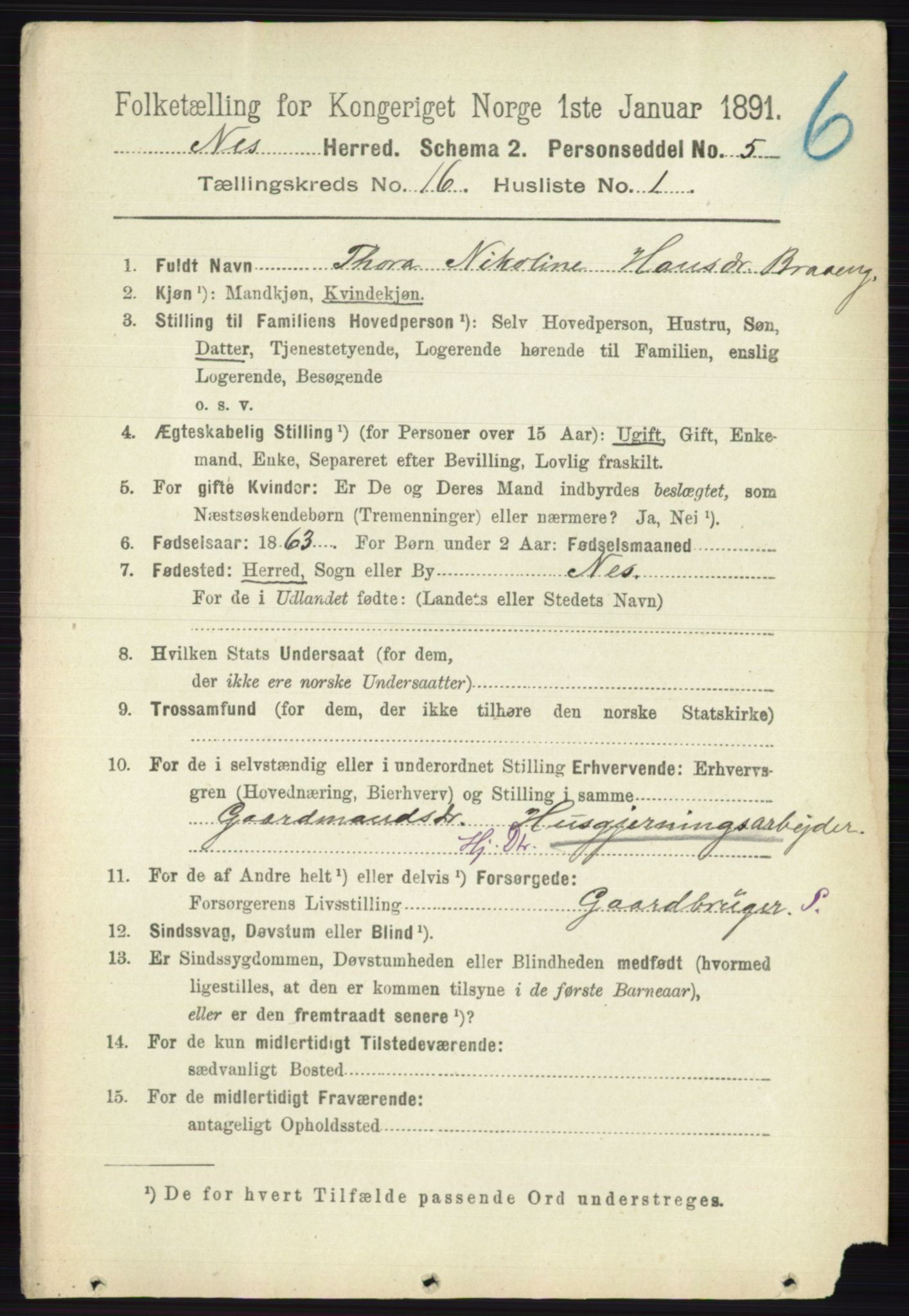 RA, 1891 census for 0236 Nes, 1891, p. 9553