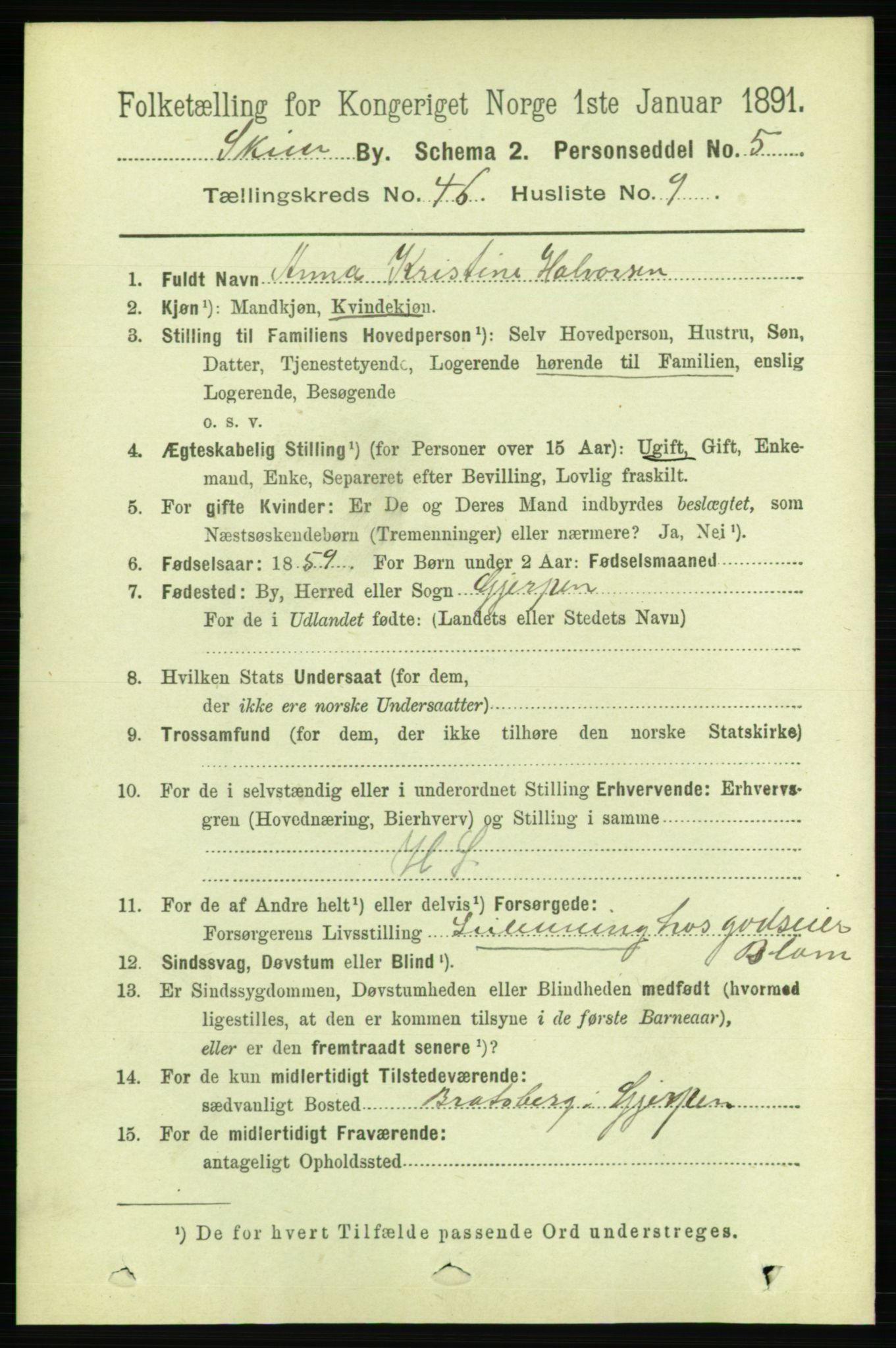 RA, 1891 census for 0806 Skien, 1891, p. 9200