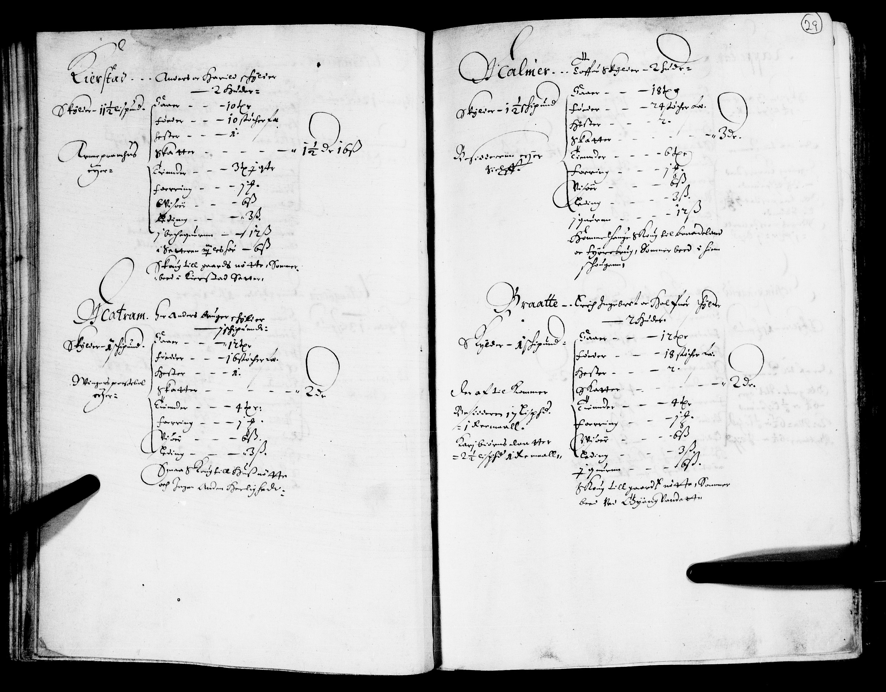 Rentekammeret inntil 1814, Realistisk ordnet avdeling, AV/RA-EA-4070/N/Nb/Nba/L0011: Odal, Solør og Østerdalen fogderi, 1667, p. 28b-29a