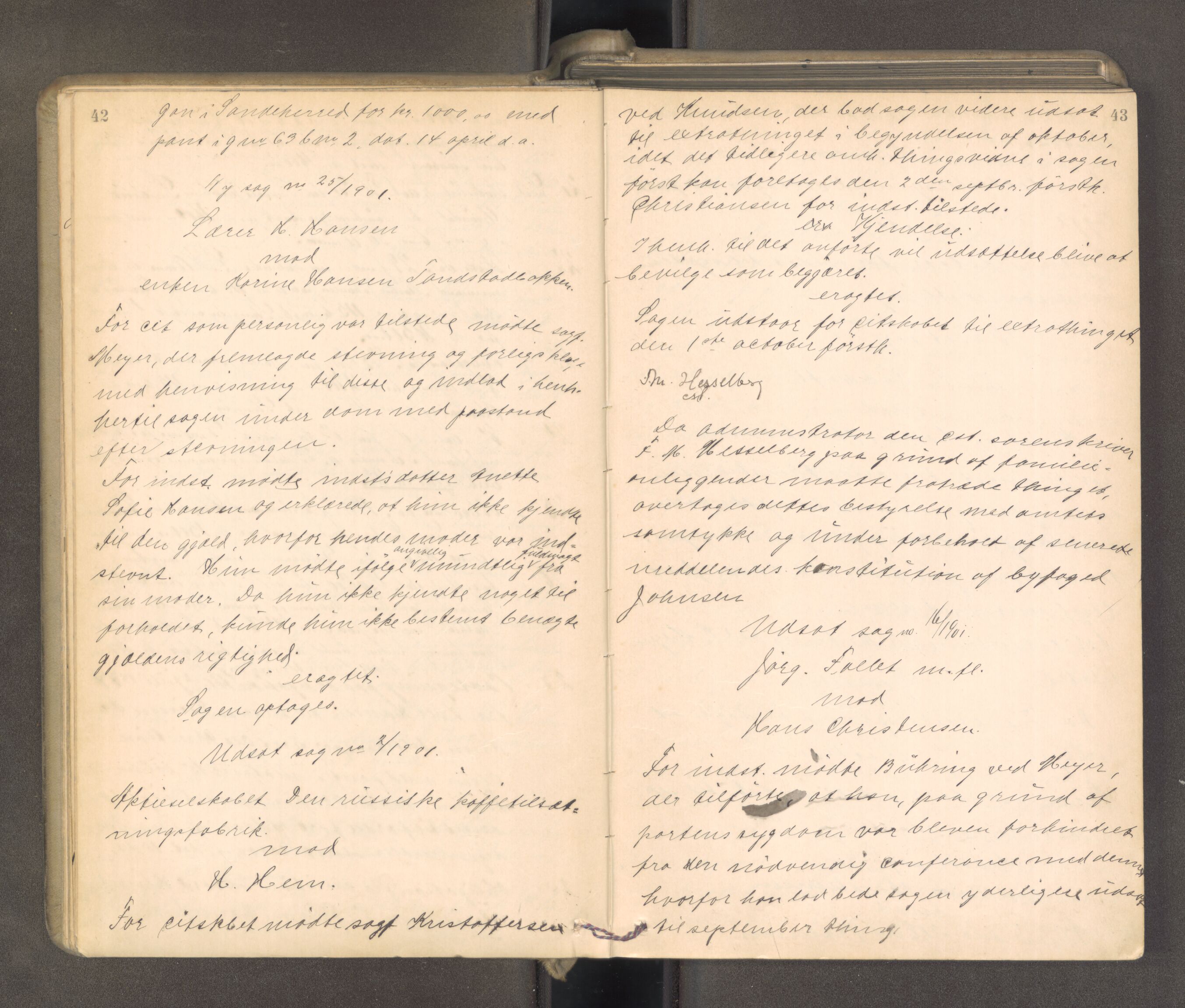 Søndre Jarlsberg sorenskriveri, AV/SAKO-A-129/F/Fa/L0043: Tingbok, 1901-1903, p. 42-43