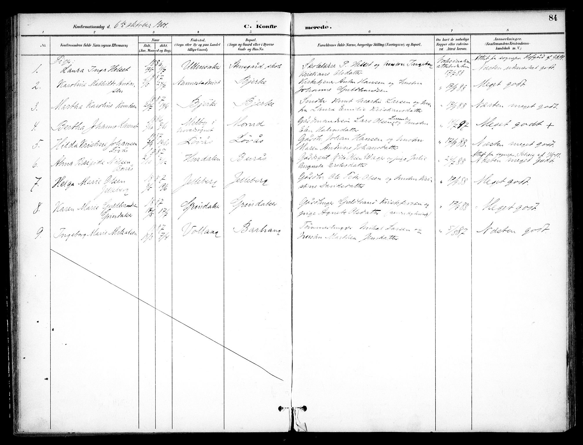 Nannestad prestekontor Kirkebøker, SAO/A-10414a/F/Fc/L0002: Parish register (official) no. III 2, 1893-1907, p. 84