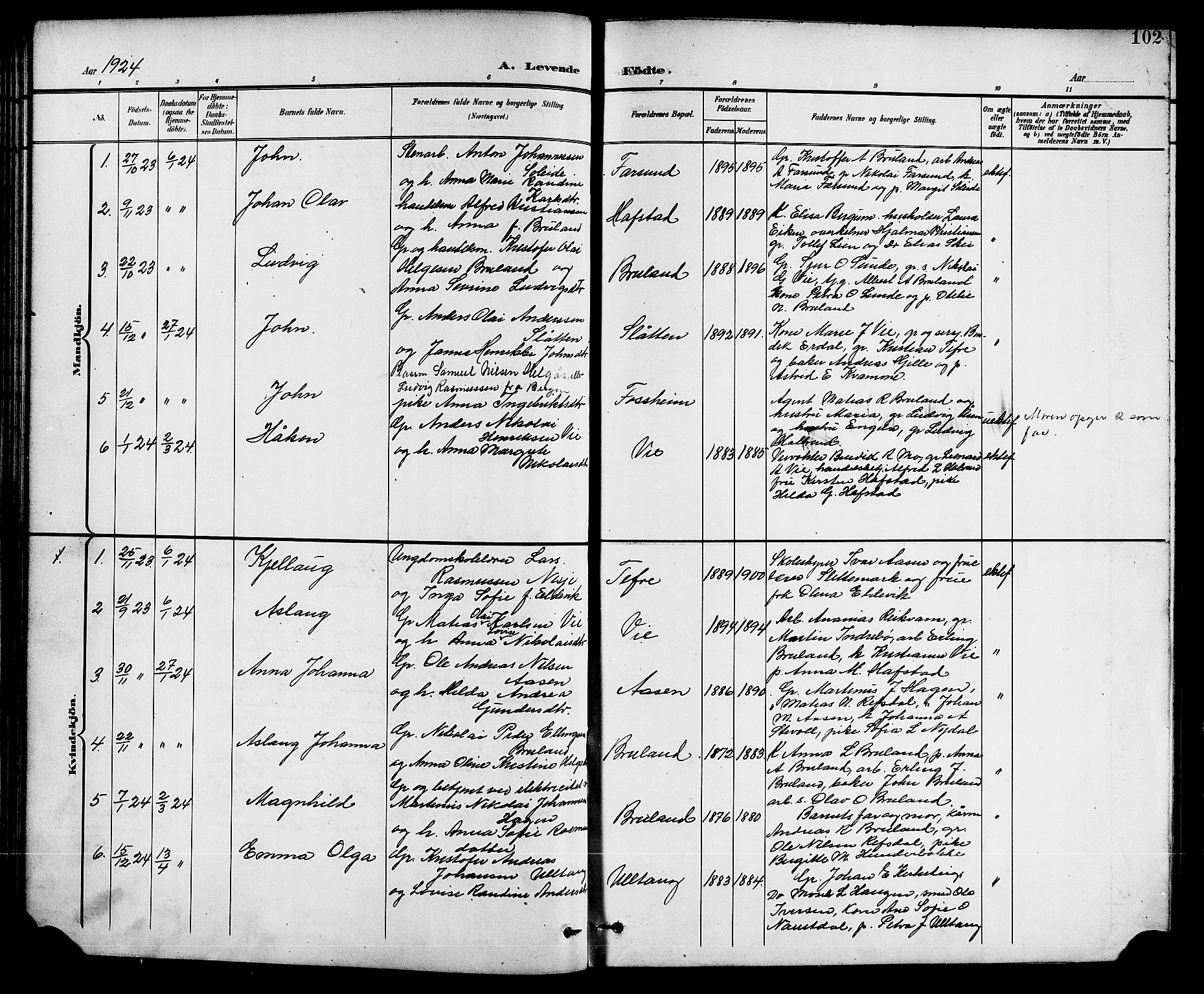 Førde sokneprestembete, AV/SAB-A-79901/H/Hab/Haba/L0003: Parish register (copy) no. A 3, 1899-1924, p. 102