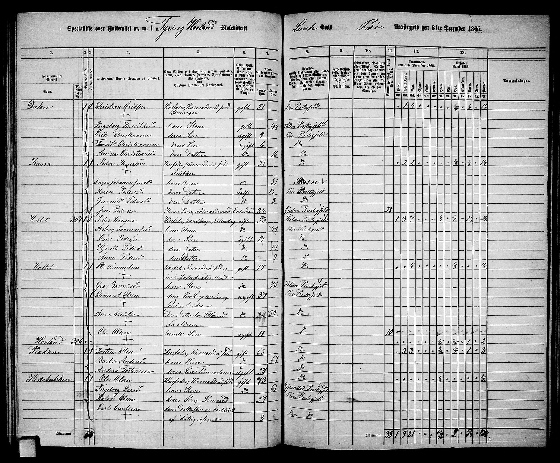 RA, 1865 census for Bø, 1865, p. 80