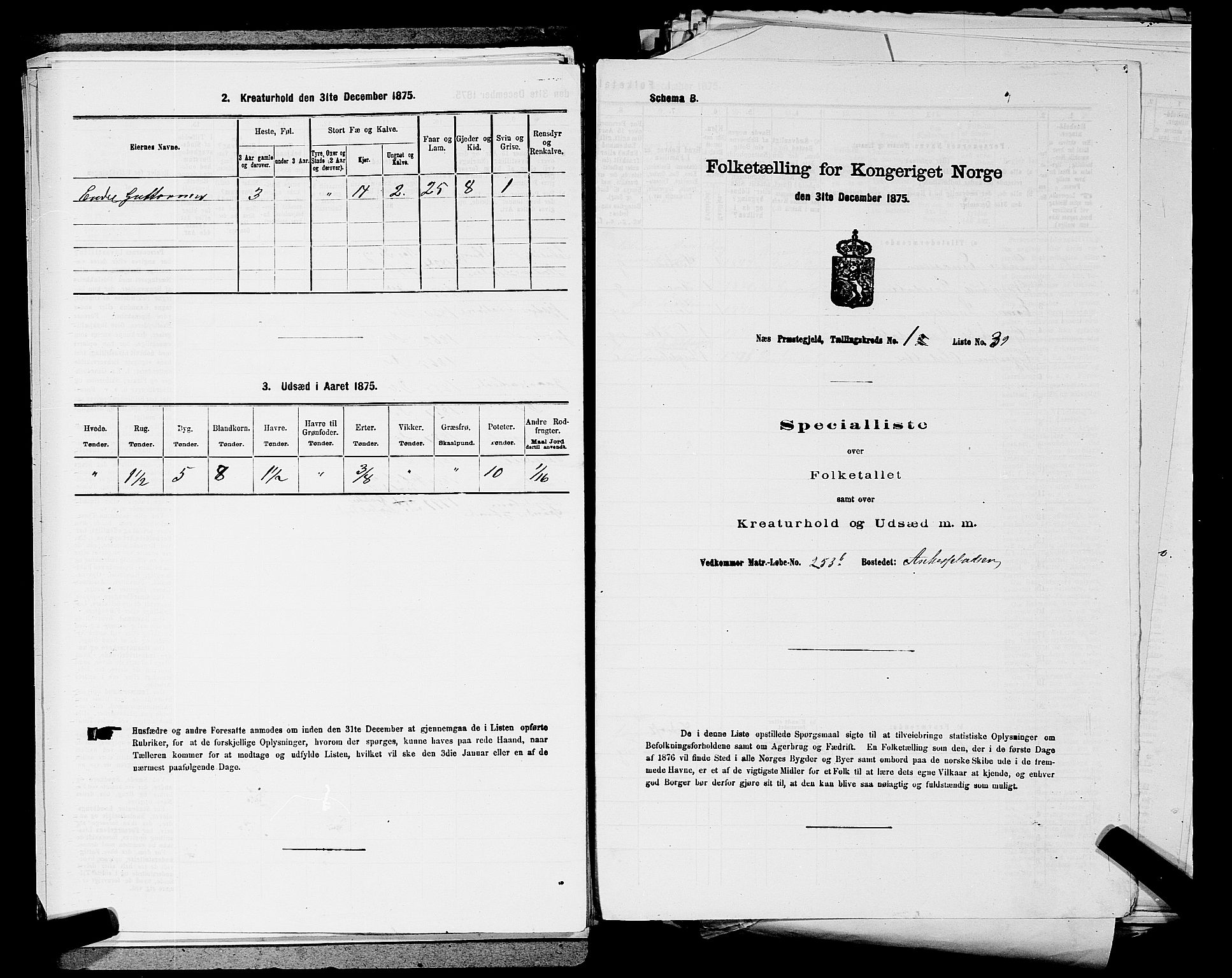 SAKO, 1875 census for 0616P Nes, 1875, p. 273