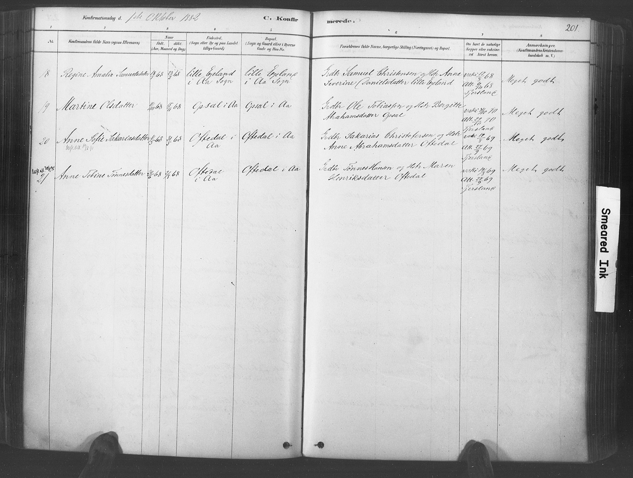 Lyngdal sokneprestkontor, AV/SAK-1111-0029/F/Fa/Fac/L0011: Parish register (official) no. A 11, 1878-1893, p. 201