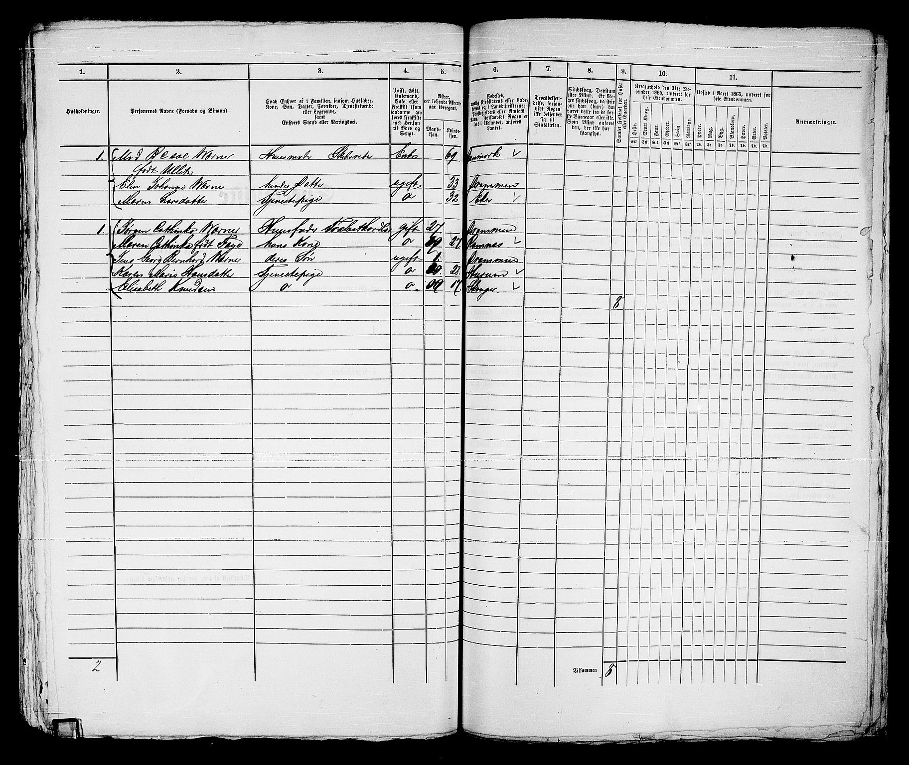 RA, 1865 census for Strømsø in Drammen, 1865, p. 542