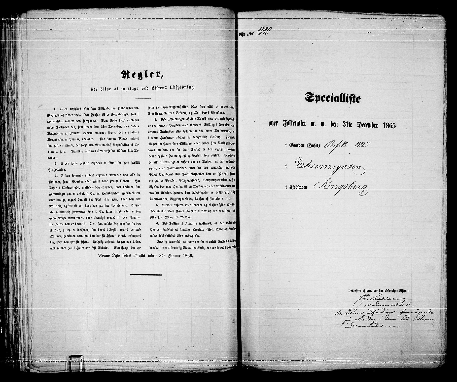 RA, 1865 census for Kongsberg/Kongsberg, 1865, p. 599