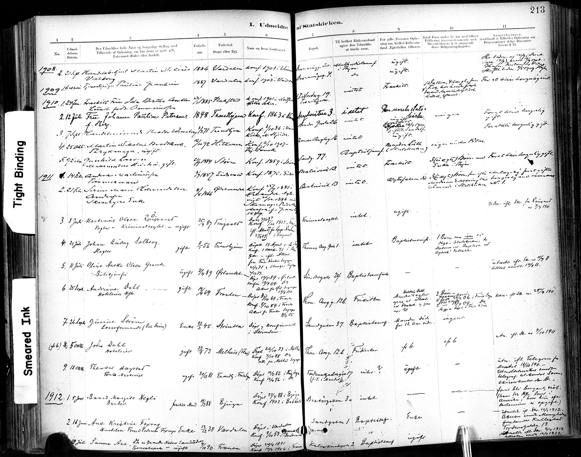 Ministerialprotokoller, klokkerbøker og fødselsregistre - Sør-Trøndelag, SAT/A-1456/602/L0120: Parish register (official) no. 602A18, 1880-1913, p. 213