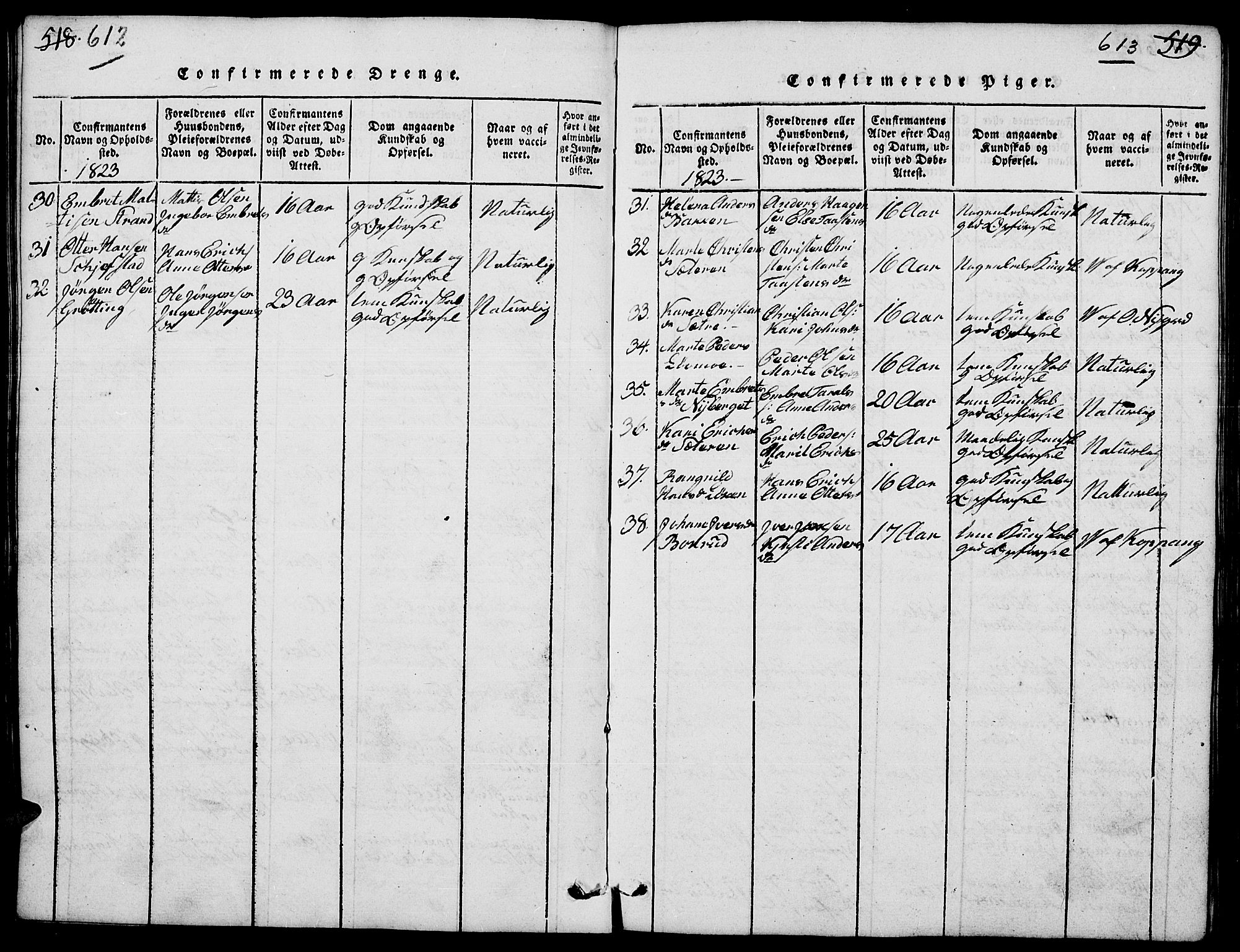 Elverum prestekontor, AV/SAH-PREST-044/H/Ha/Hab/L0001: Parish register (copy) no. 1, 1815-1829, p. 612-613