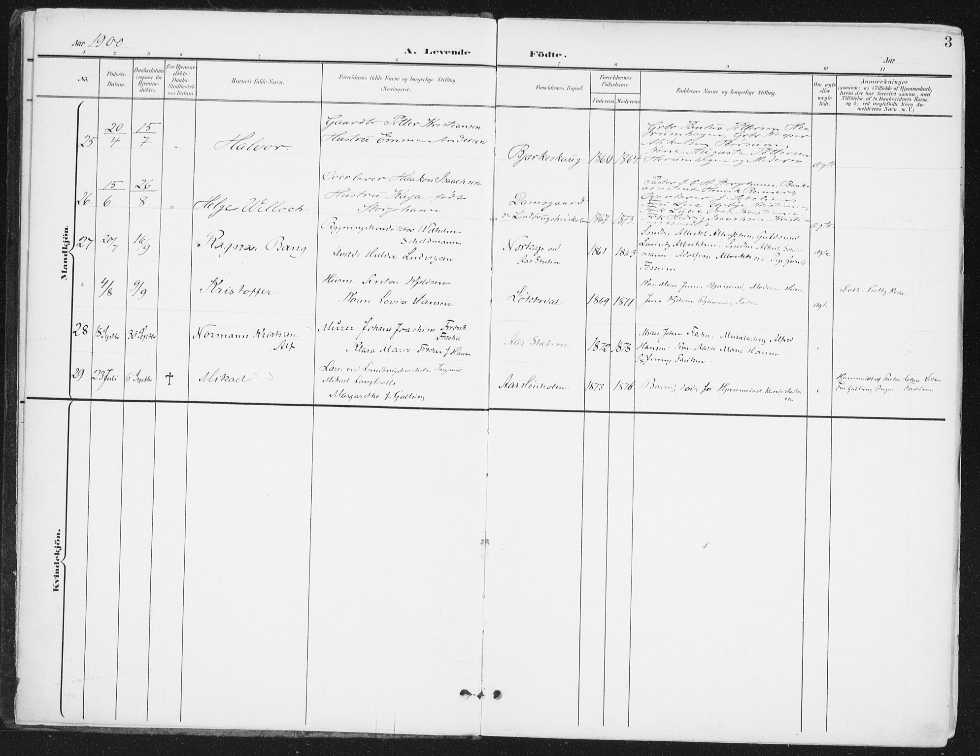 Ås prestekontor Kirkebøker, AV/SAO-A-10894/F/Fa/L0010: Parish register (official) no. I 10, 1900-1918, p. 3