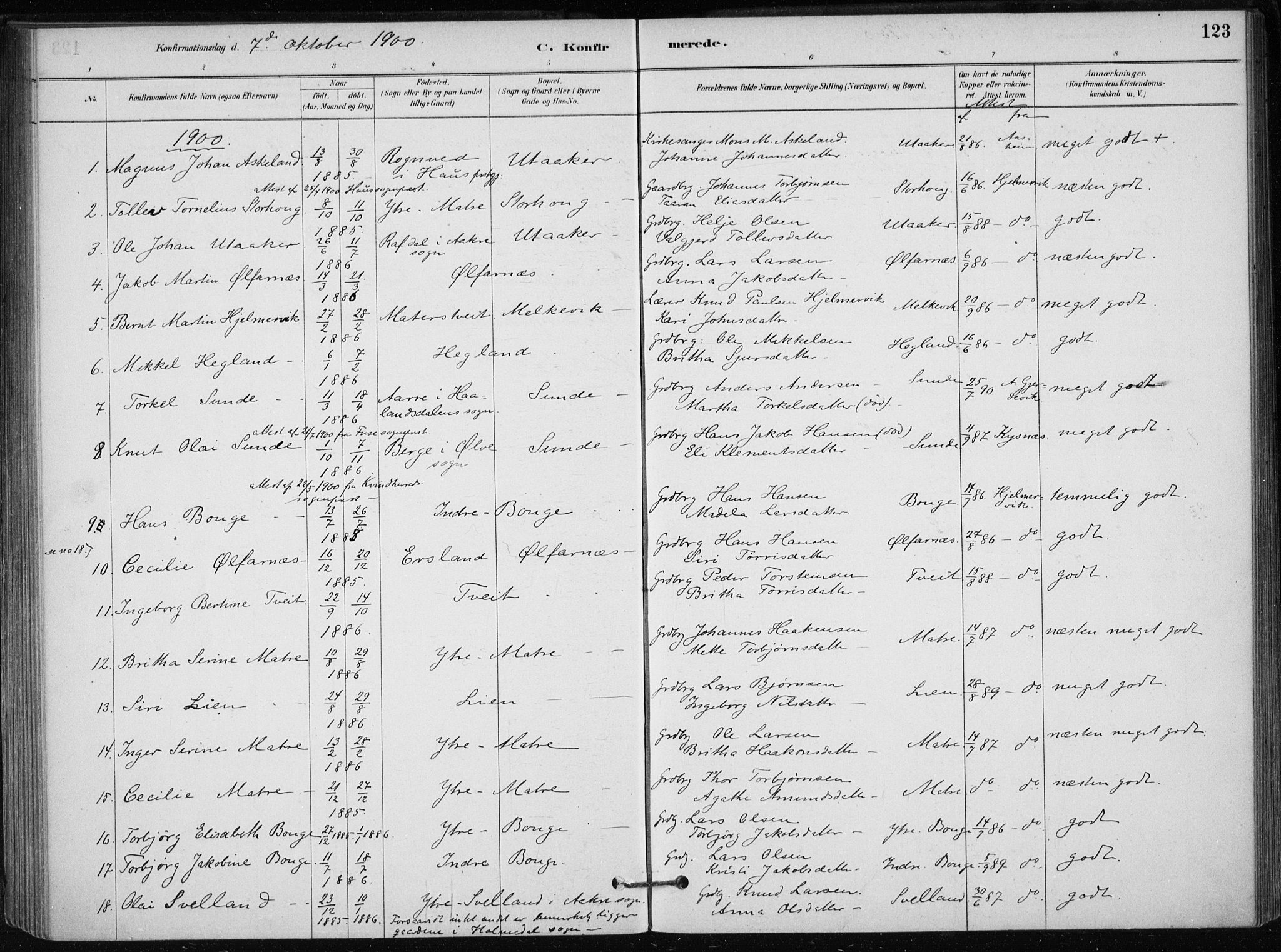 Skånevik sokneprestembete, SAB/A-77801/H/Haa: Parish register (official) no. C  1, 1879-1917, p. 123