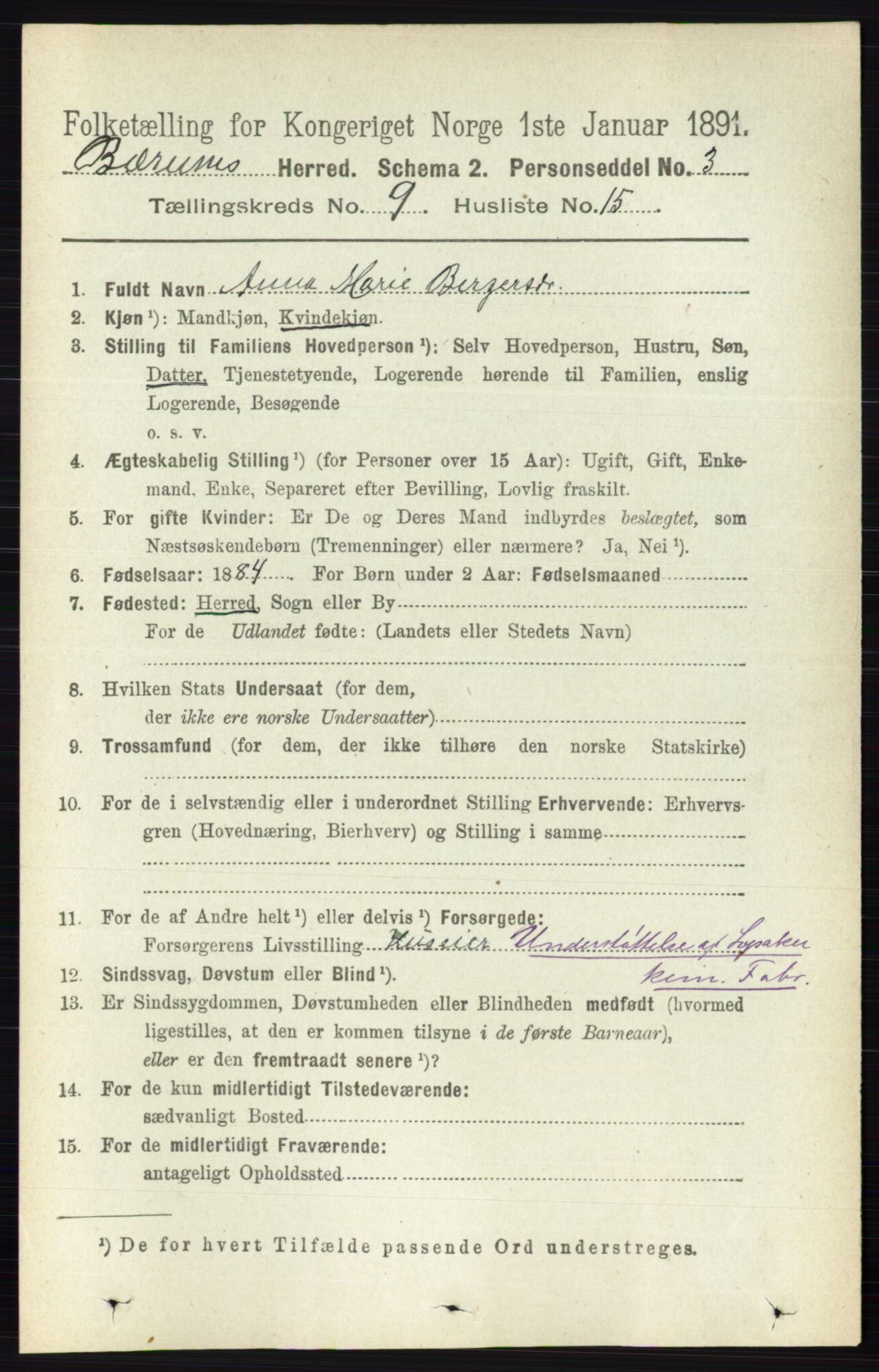 RA, 1891 census for 0219 Bærum, 1891, p. 5244