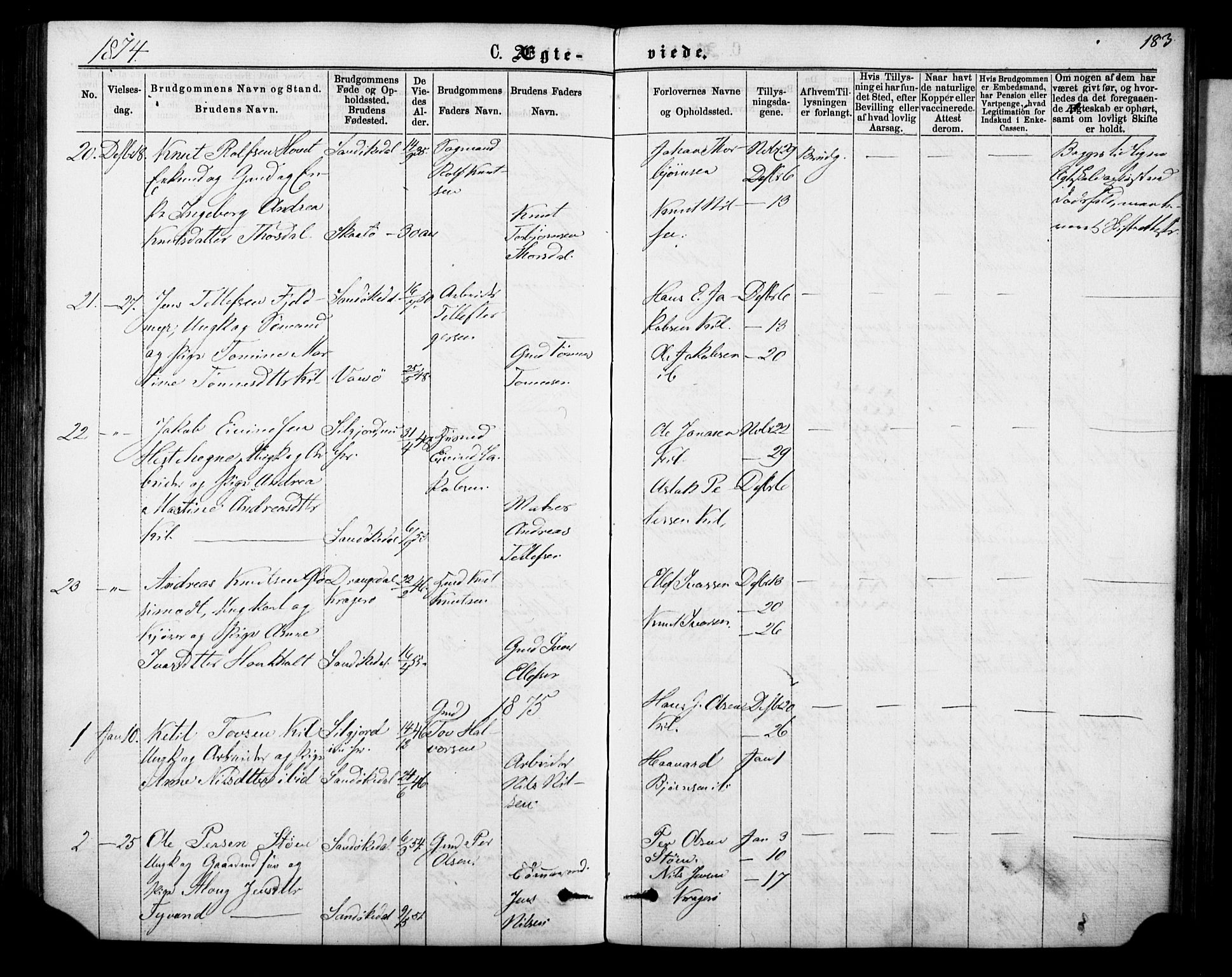 Sannidal kirkebøker, AV/SAKO-A-296/F/Fa/L0014: Parish register (official) no. 14, 1874-1883, p. 183