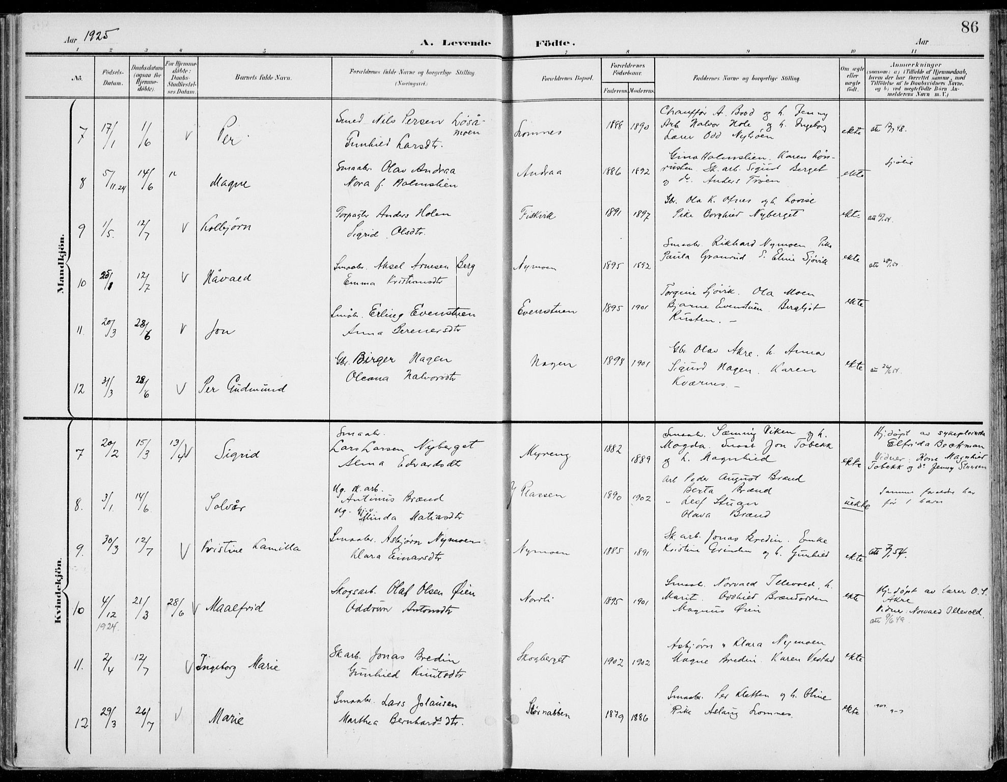 Rendalen prestekontor, AV/SAH-PREST-054/H/Ha/Haa/L0011: Parish register (official) no. 11, 1901-1925, p. 86