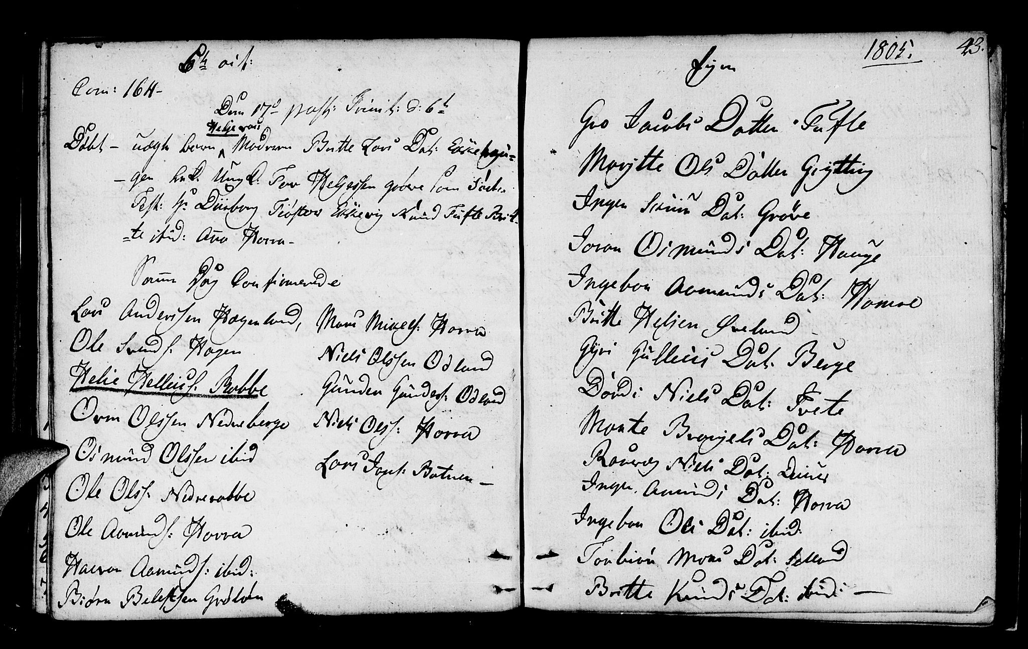Røldal sokneprestembete, SAB/A-100247: Parish register (official) no. A 1, 1780-1816, p. 43
