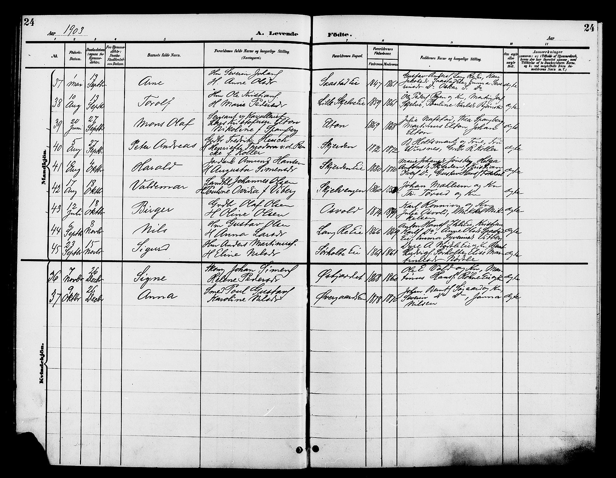 Stange prestekontor, AV/SAH-PREST-002/L/L0012: Parish register (copy) no. 12, 1900-1908, p. 24