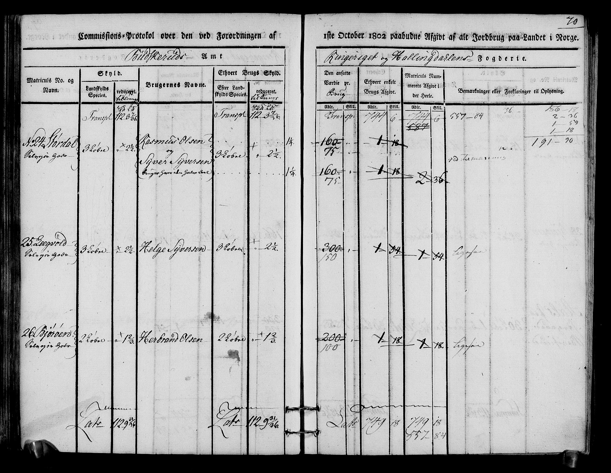 Rentekammeret inntil 1814, Realistisk ordnet avdeling, AV/RA-EA-4070/N/Ne/Nea/L0048: Ringerike og Hallingdal fogderi. Kommisjonsprotokoll for Ål prestegjeld, 1803, p. 74