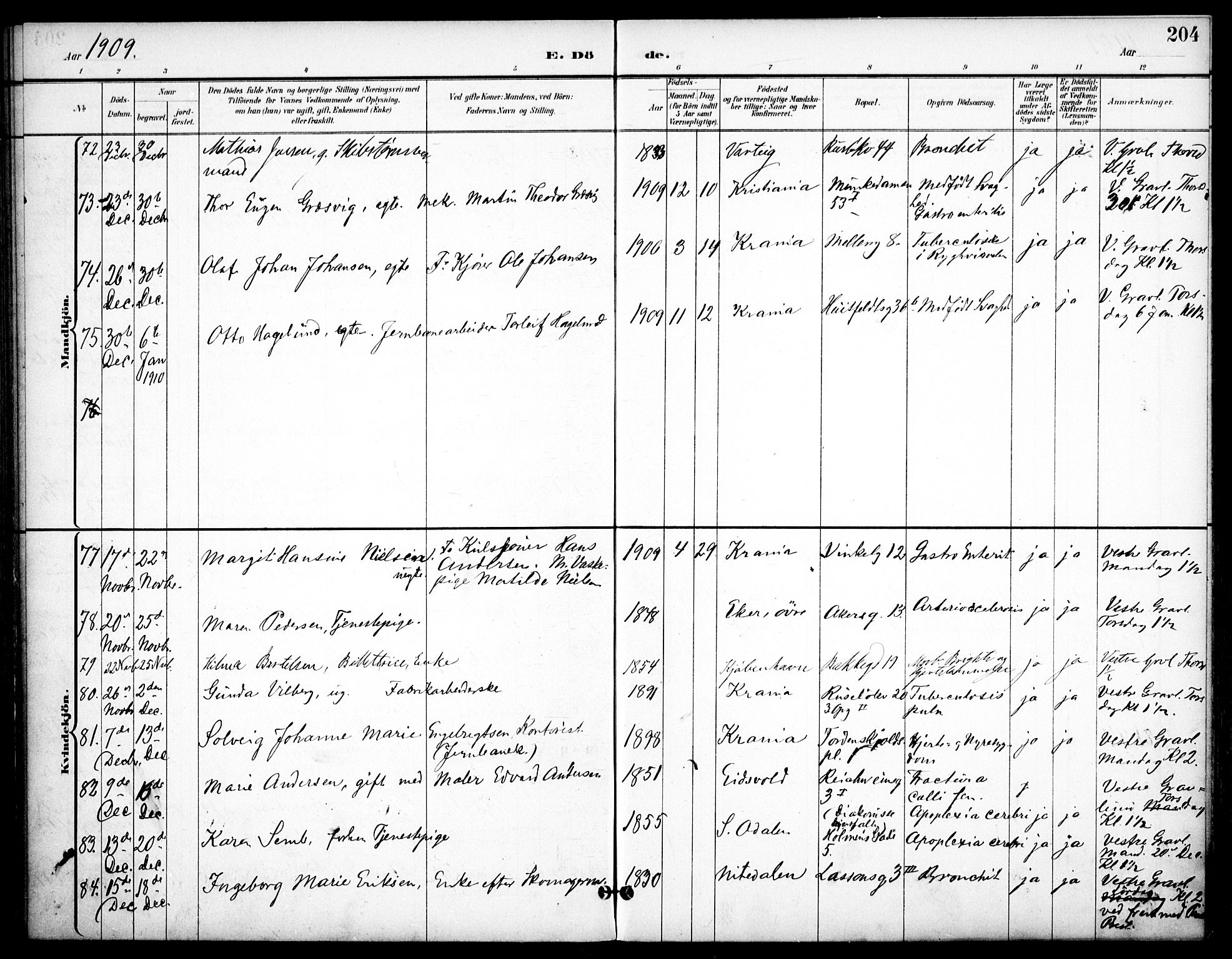 Johannes prestekontor Kirkebøker, AV/SAO-A-10852/F/Fa/L0008: Parish register (official) no. 8, 1897-1917, p. 204