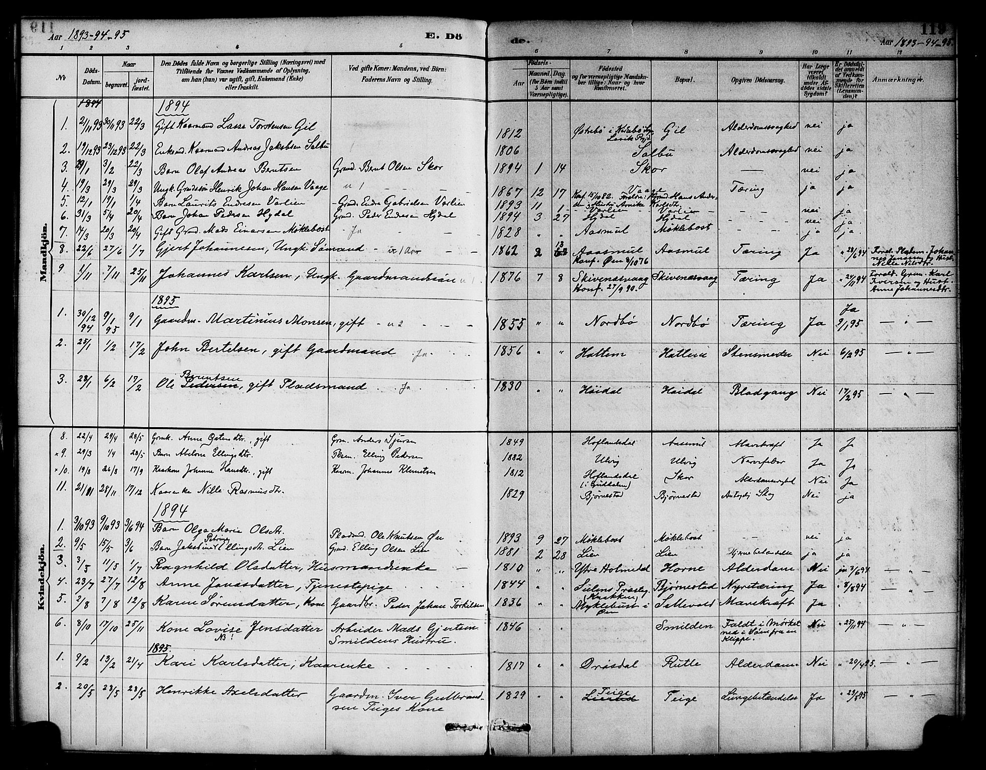 Hyllestad sokneprestembete, SAB/A-80401: Parish register (official) no. D 1, 1886-1905, p. 119