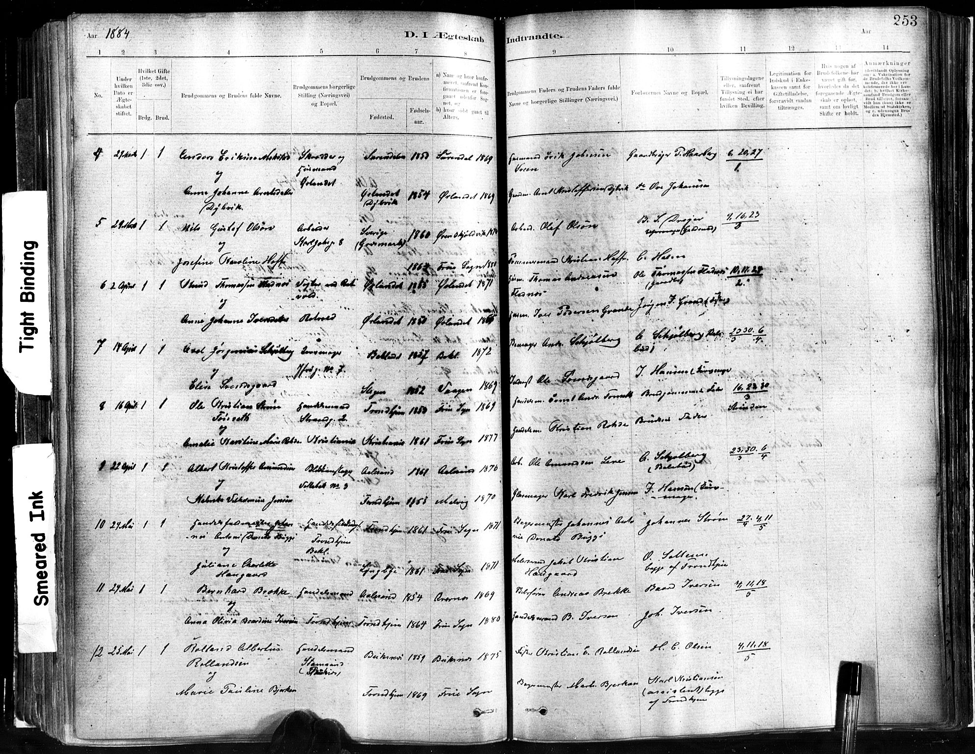 Ministerialprotokoller, klokkerbøker og fødselsregistre - Sør-Trøndelag, SAT/A-1456/602/L0119: Parish register (official) no. 602A17, 1880-1901, p. 253