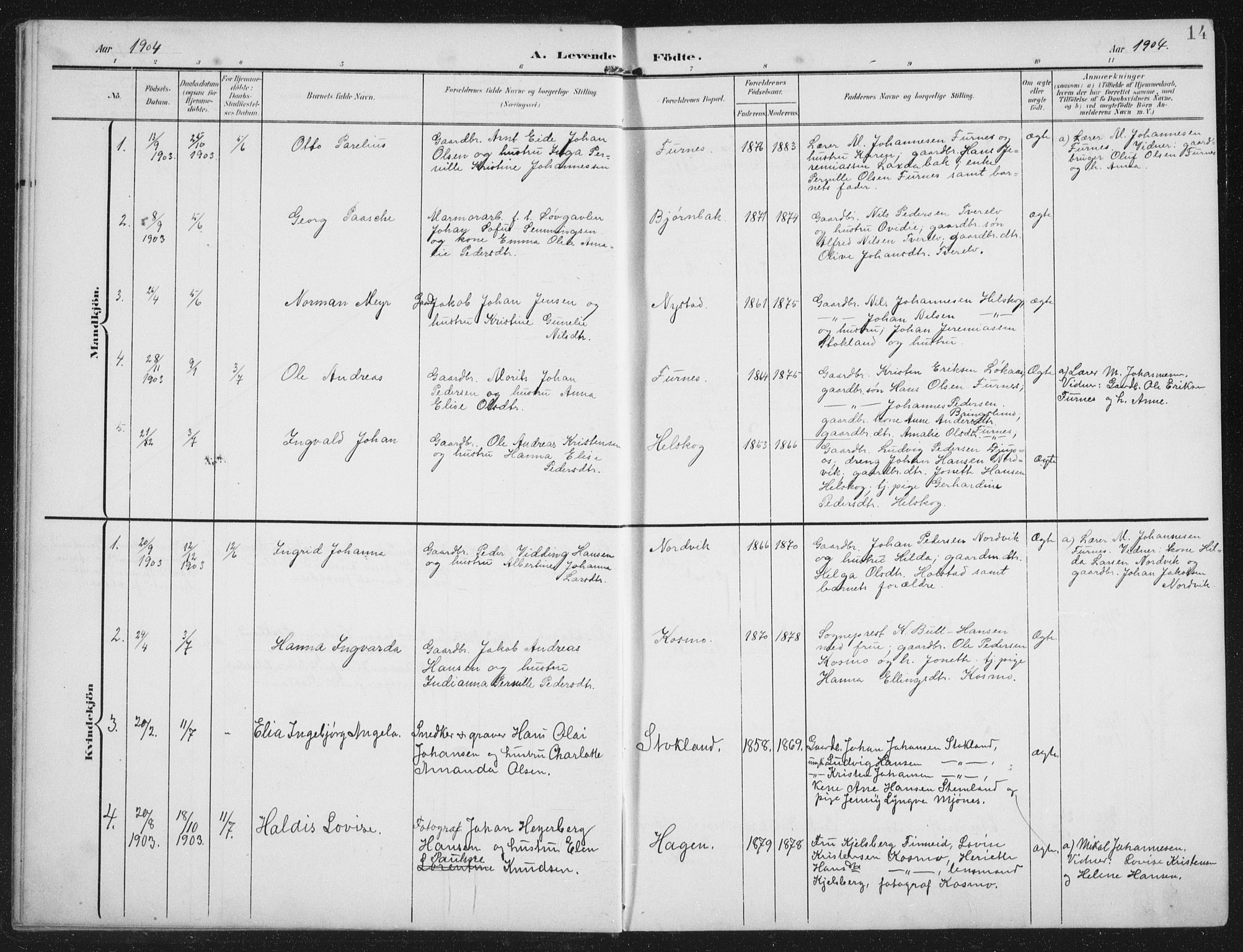 Ministerialprotokoller, klokkerbøker og fødselsregistre - Nordland, AV/SAT-A-1459/851/L0726: Parish register (copy) no. 851C01, 1902-1924, p. 14