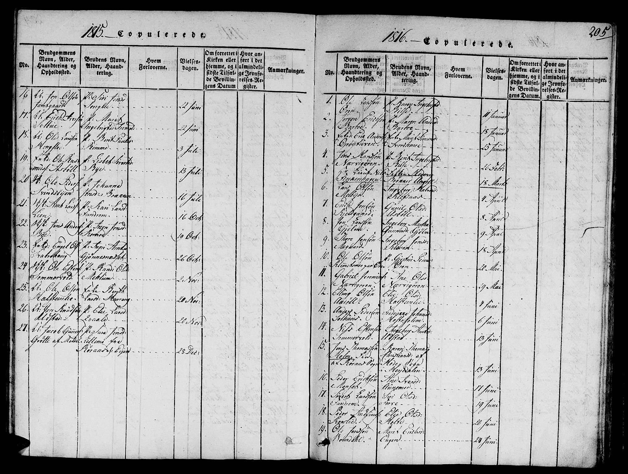 Ministerialprotokoller, klokkerbøker og fødselsregistre - Sør-Trøndelag, SAT/A-1456/668/L0803: Parish register (official) no. 668A03, 1800-1826, p. 205