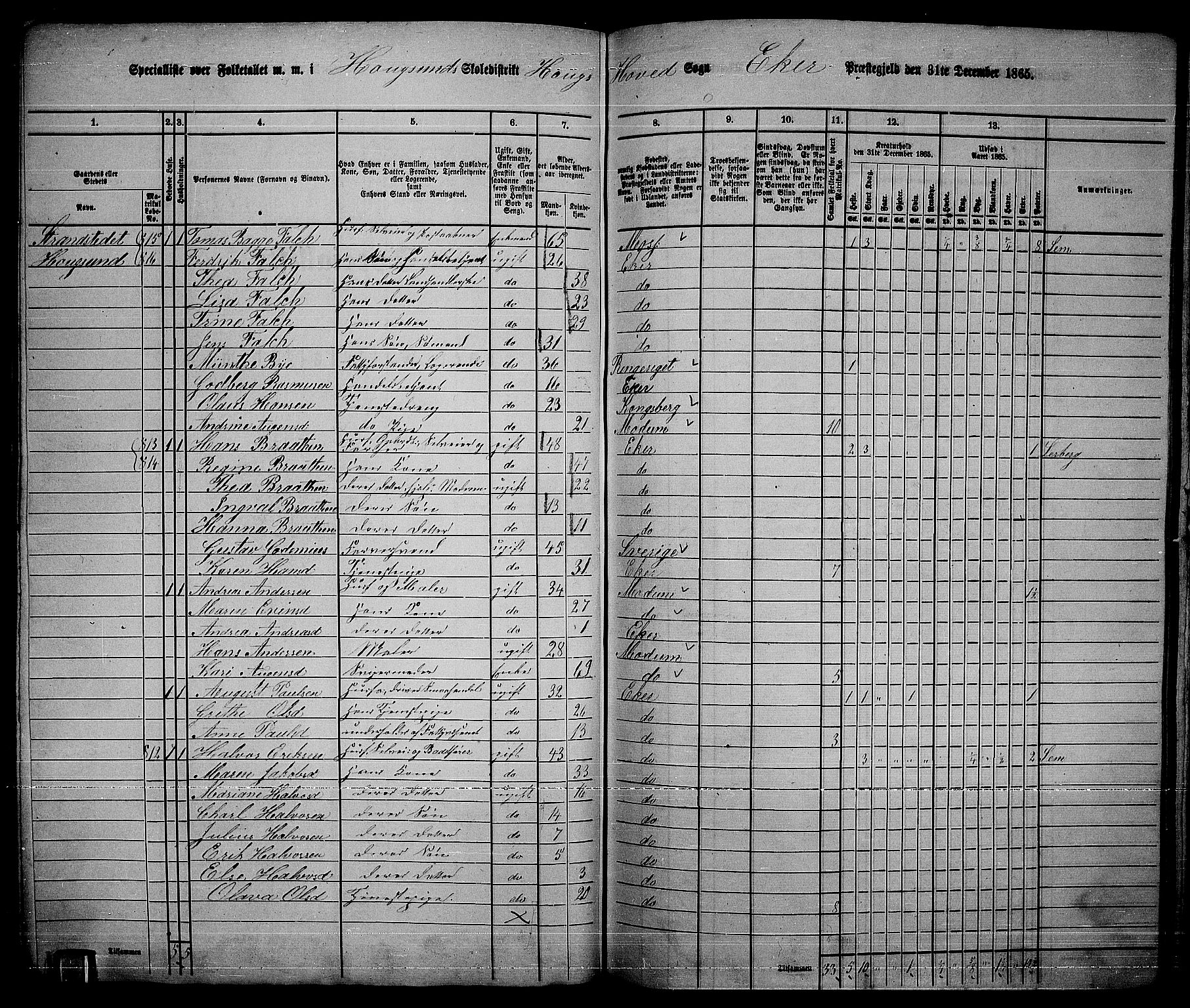 RA, 1865 census for Eiker, 1865, p. 212