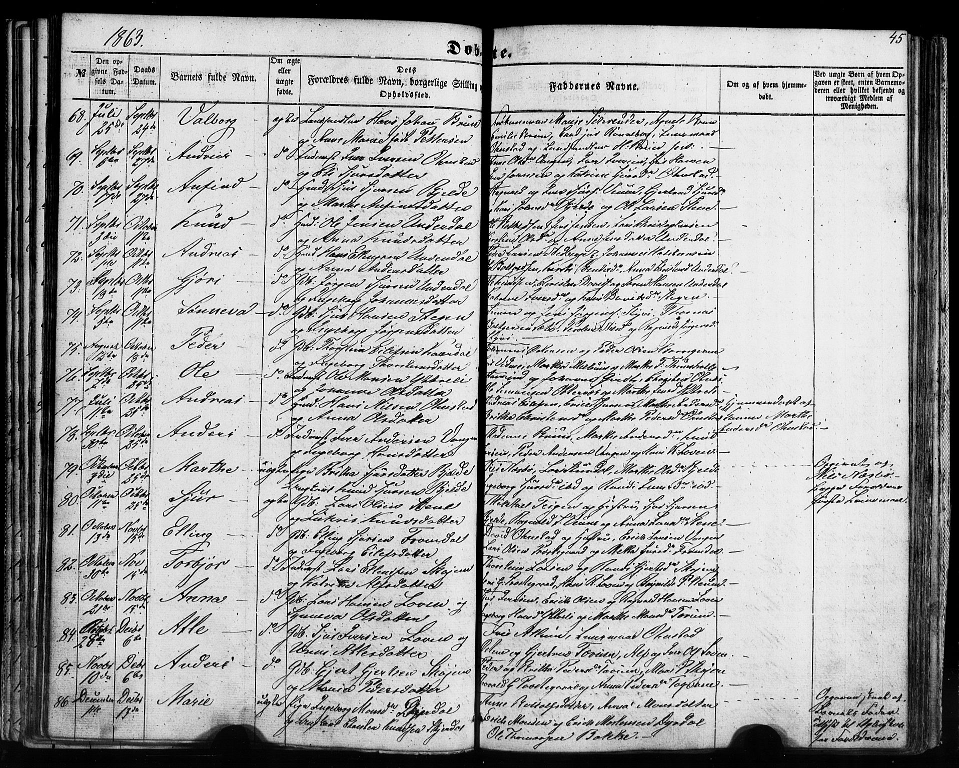 Aurland sokneprestembete, SAB/A-99937/H/Ha/Haa/L0008: Parish register (official) no. A 8, 1853-1879, p. 45