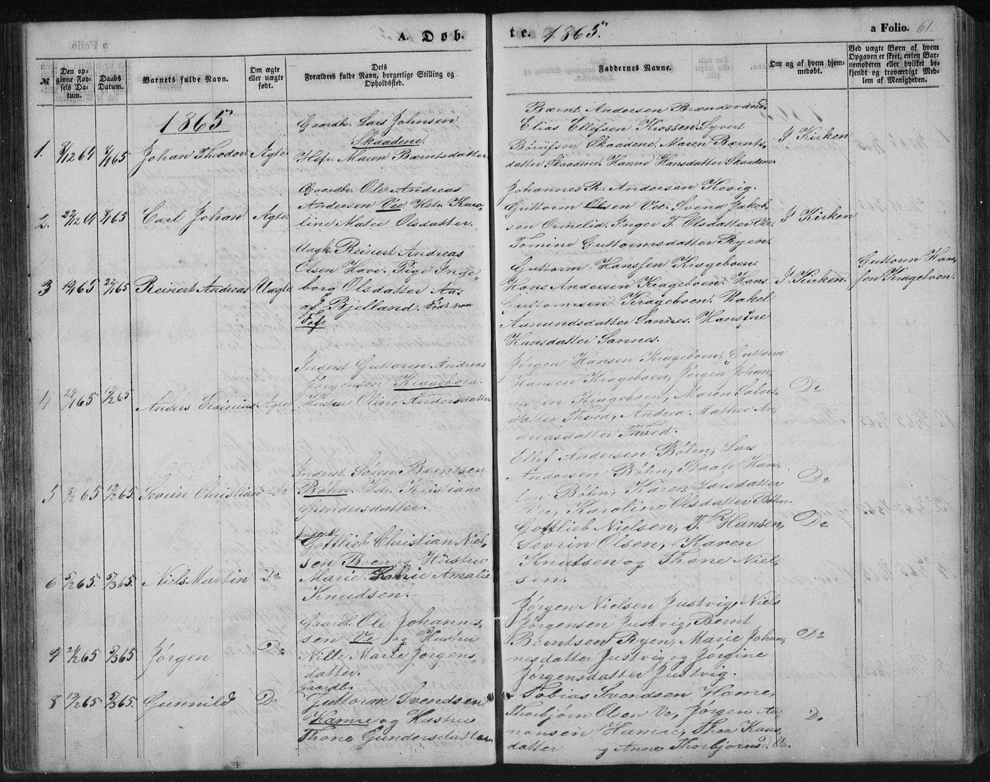 Tveit sokneprestkontor, AV/SAK-1111-0043/F/Fb/L0003: Parish register (copy) no. B 3, 1854-1886, p. 61