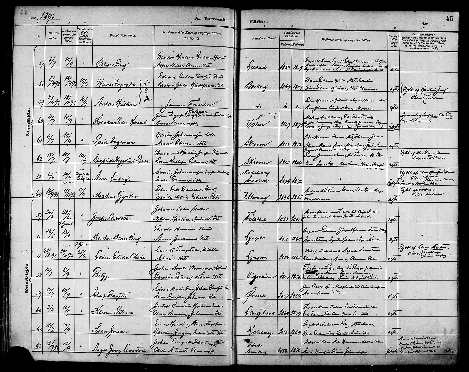 Ministerialprotokoller, klokkerbøker og fødselsregistre - Nordland, SAT/A-1459/874/L1060: Parish register (official) no. 874A04, 1890-1899, p. 45