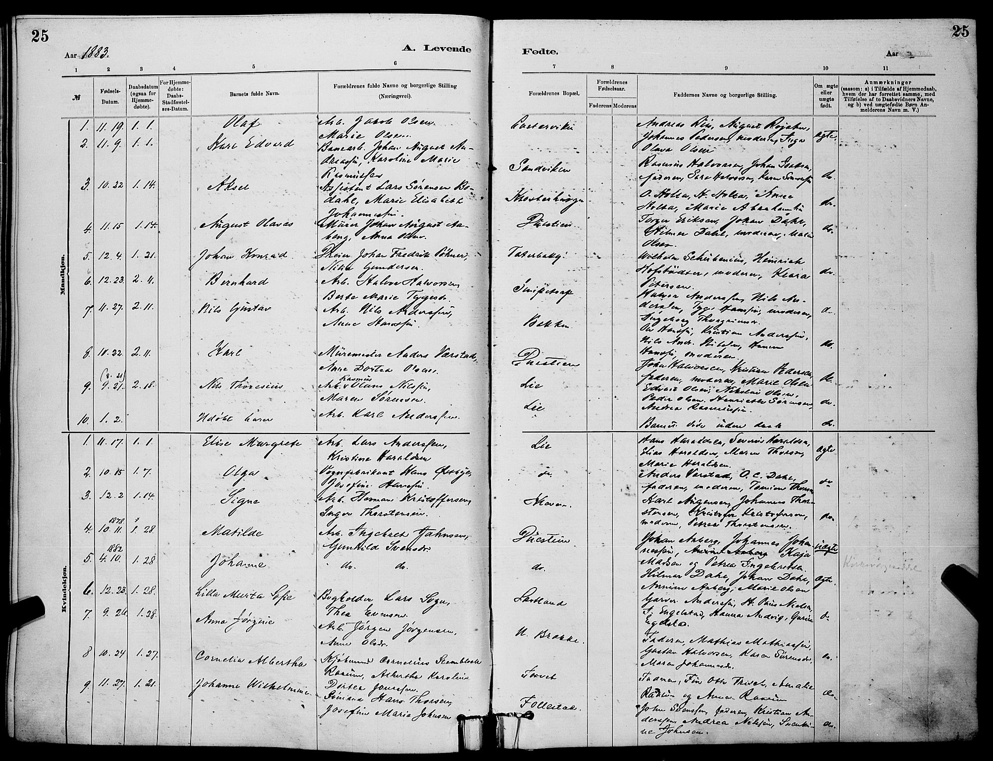 Skien kirkebøker, SAKO/A-302/G/Ga/L0006: Parish register (copy) no. 6, 1881-1890, p. 25