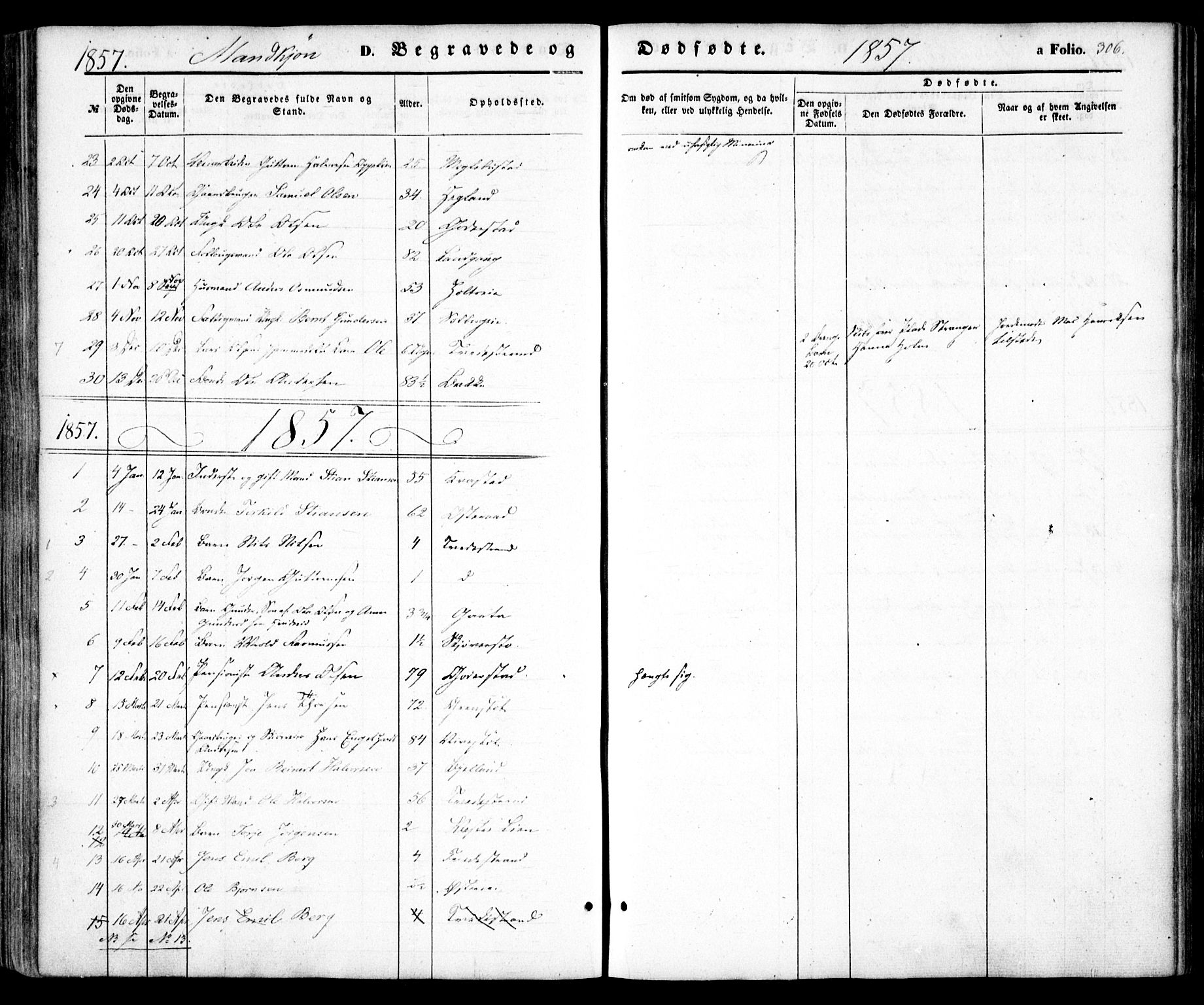 Holt sokneprestkontor, AV/SAK-1111-0021/F/Fa/L0008: Parish register (official) no. A 8, 1849-1860, p. 306