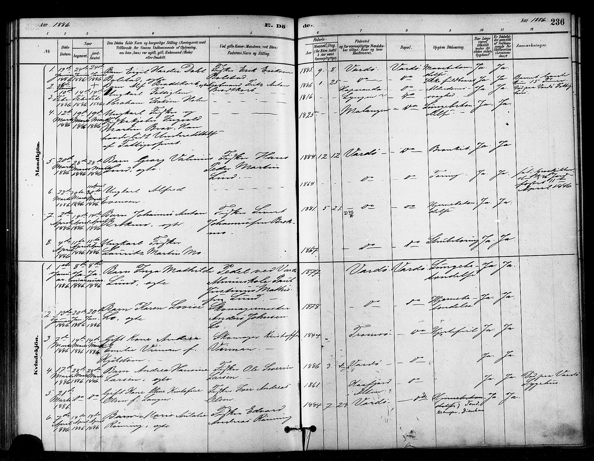 Vardø sokneprestkontor, SATØ/S-1332/H/Ha/L0006kirke: Parish register (official) no. 6, 1879-1886, p. 236