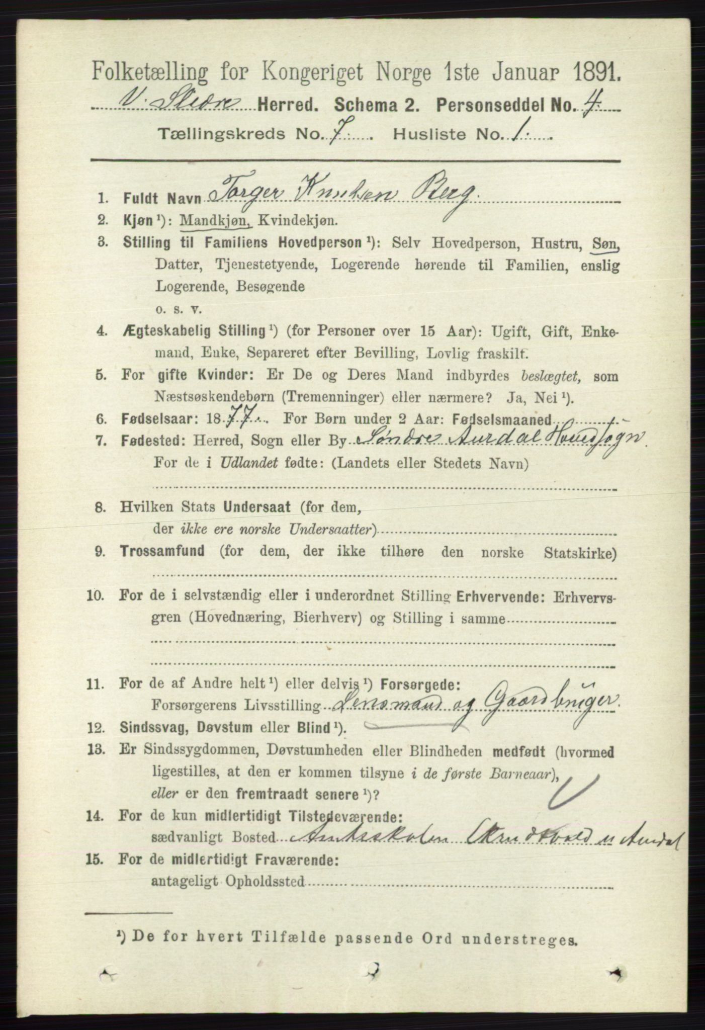 RA, 1891 census for 0543 Vestre Slidre, 1891, p. 2576