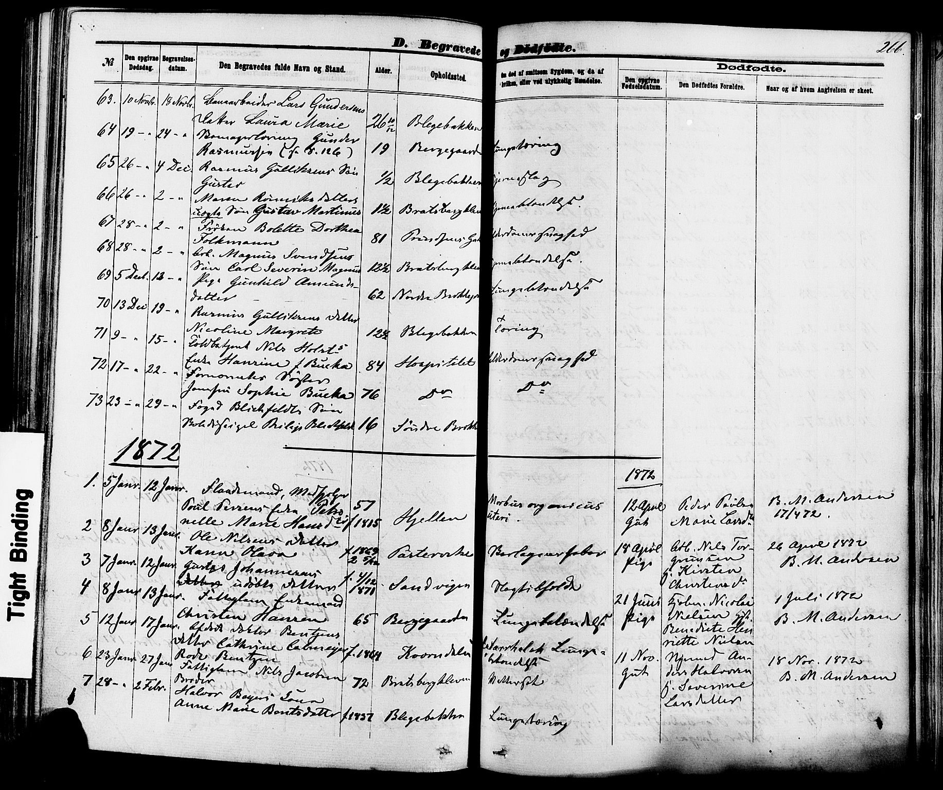 Skien kirkebøker, AV/SAKO-A-302/F/Fa/L0008: Parish register (official) no. 8, 1866-1877, p. 266