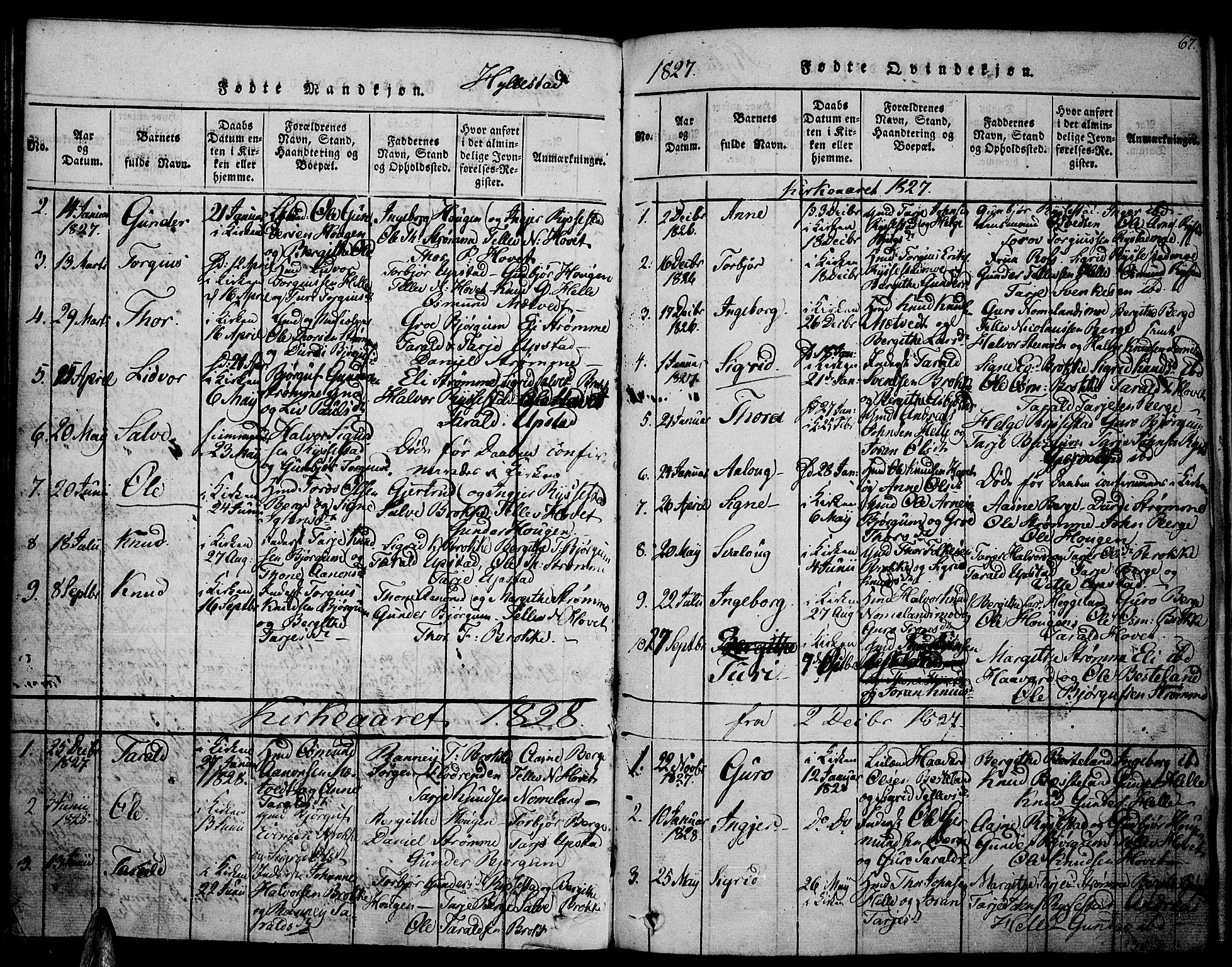 Valle sokneprestkontor, SAK/1111-0044/F/Fa/Fac/L0005: Parish register (official) no. A 5 /2, 1817-1831, p. 67