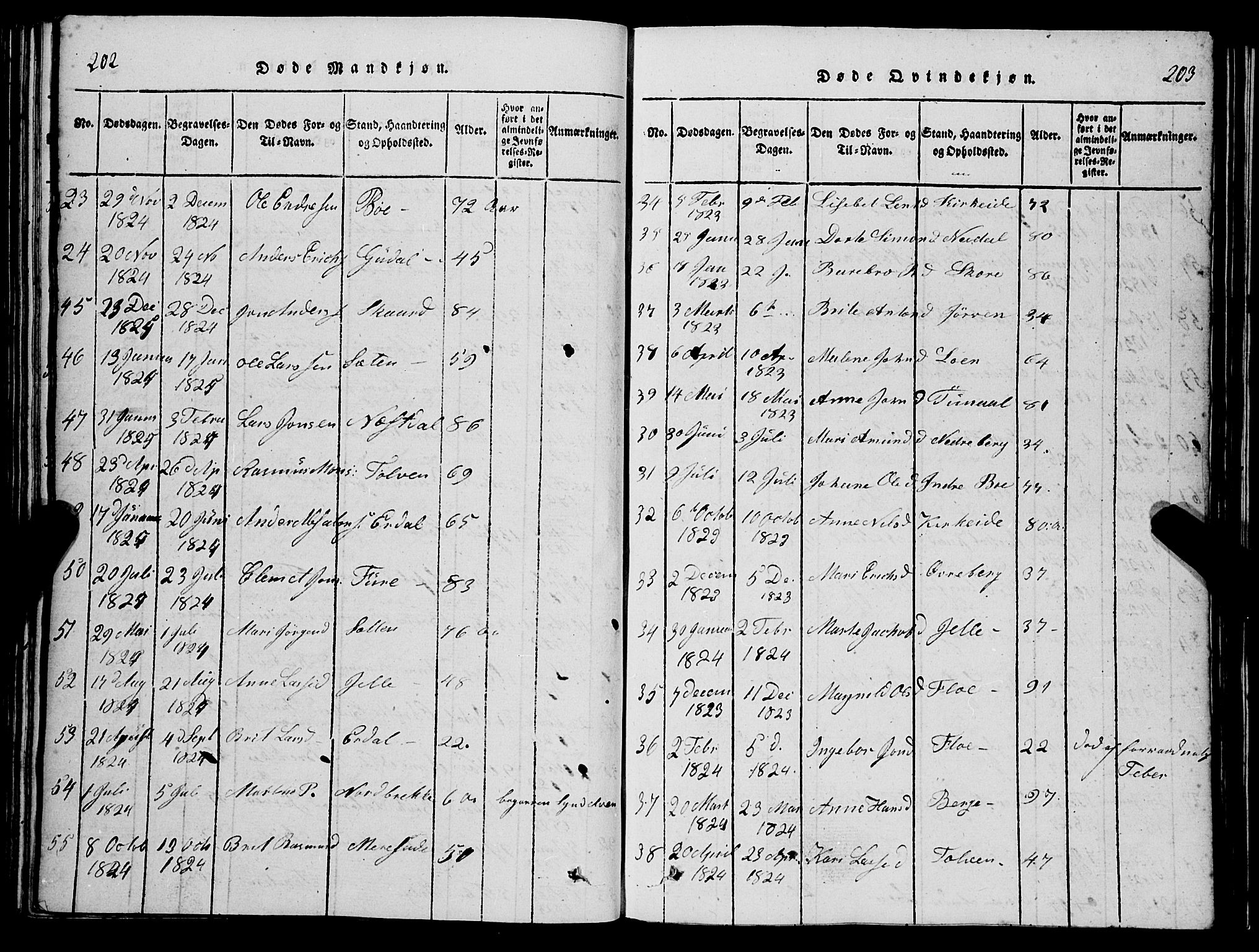 Stryn Sokneprestembete, AV/SAB-A-82501: Parish register (copy) no. C 1, 1801-1845, p. 202-203