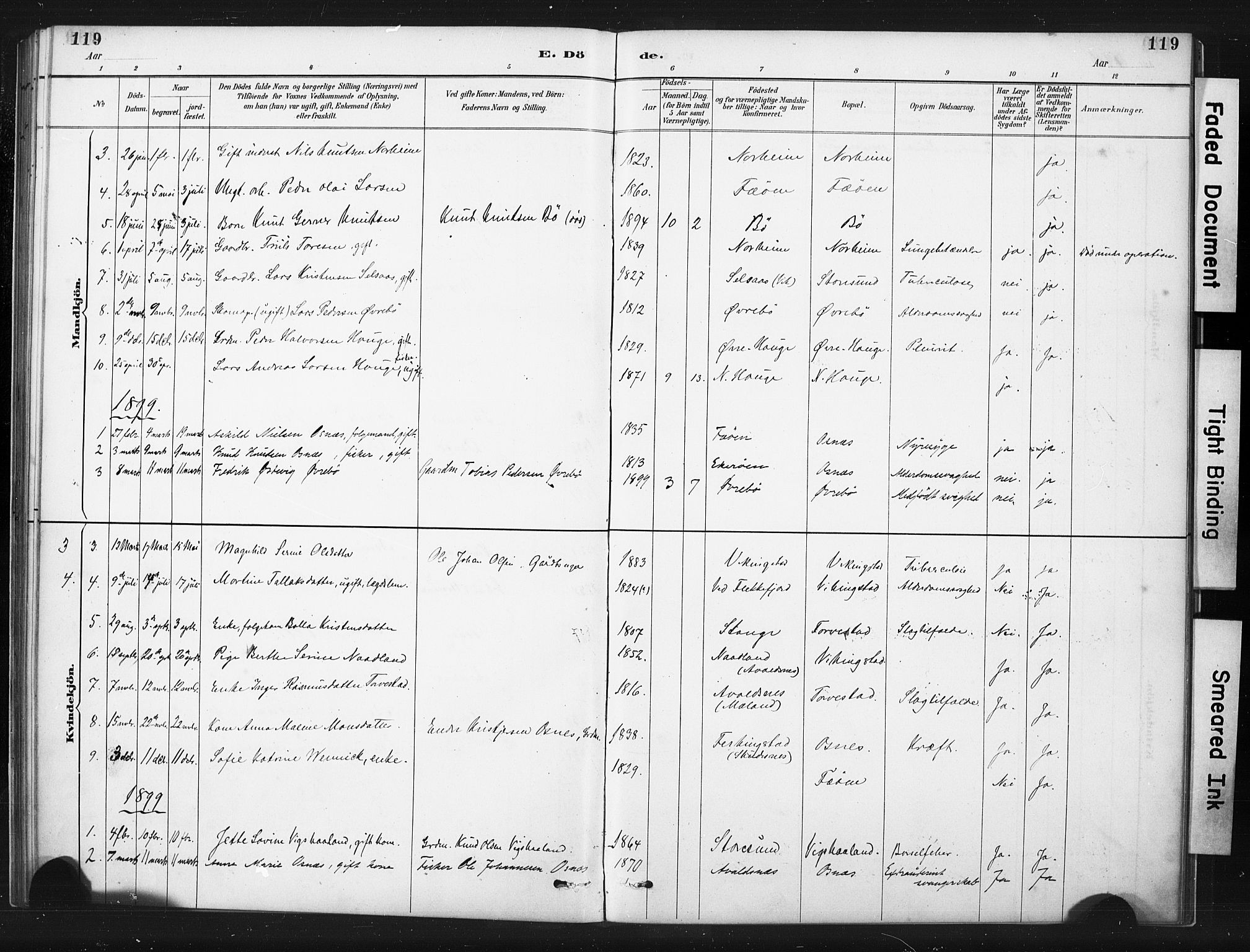 Torvastad sokneprestkontor, AV/SAST-A -101857/H/Ha/Haa/L0015: Parish register (official) no. A 14, 1888-1899, p. 119