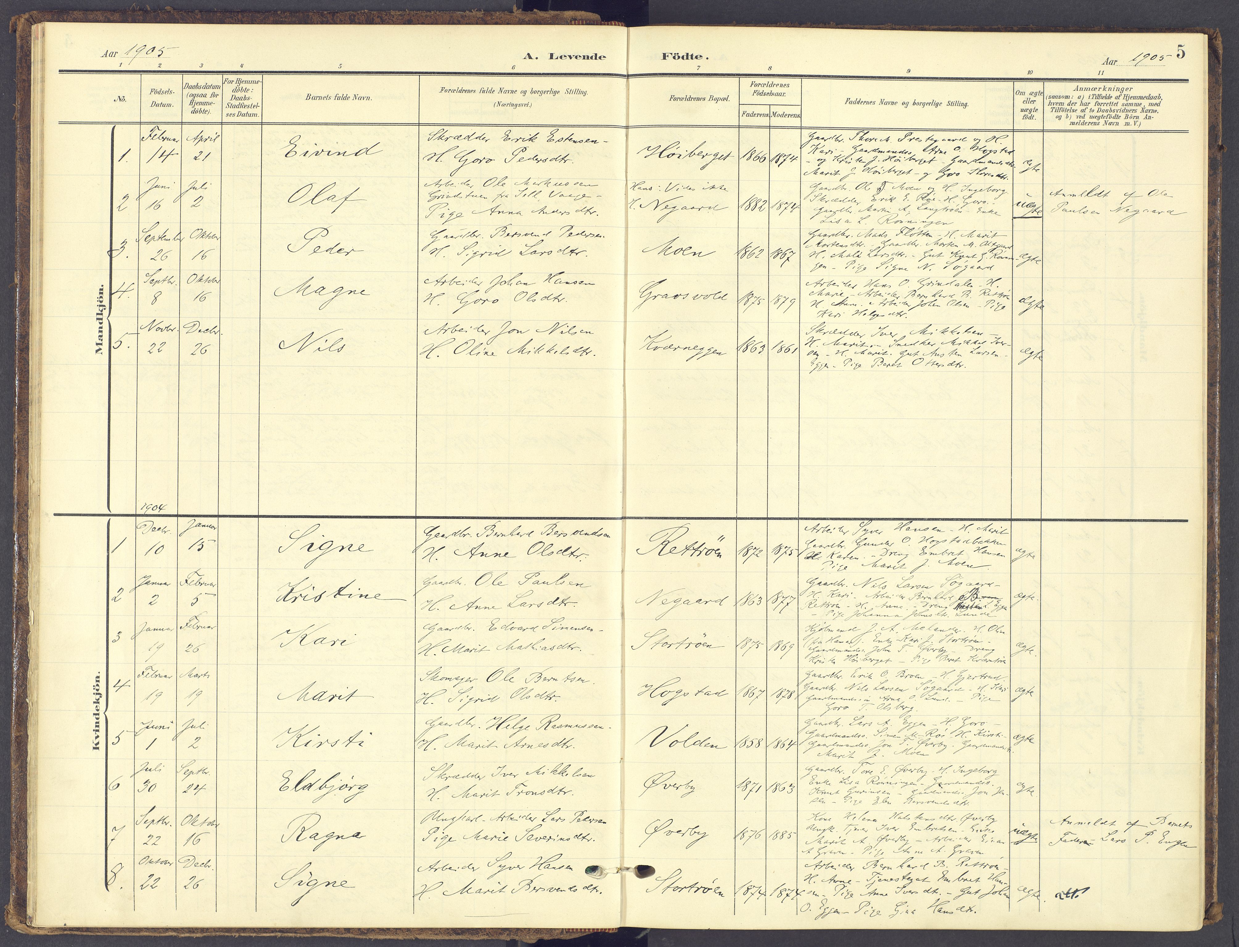 Tynset prestekontor, SAH/PREST-058/H/Ha/Haa/L0028: Parish register (official) no. 28, 1902-1929, p. 5