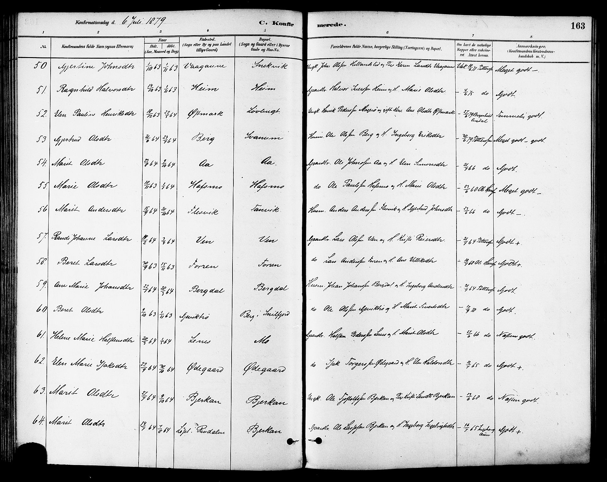 Ministerialprotokoller, klokkerbøker og fødselsregistre - Sør-Trøndelag, AV/SAT-A-1456/630/L0496: Parish register (official) no. 630A09, 1879-1895, p. 163