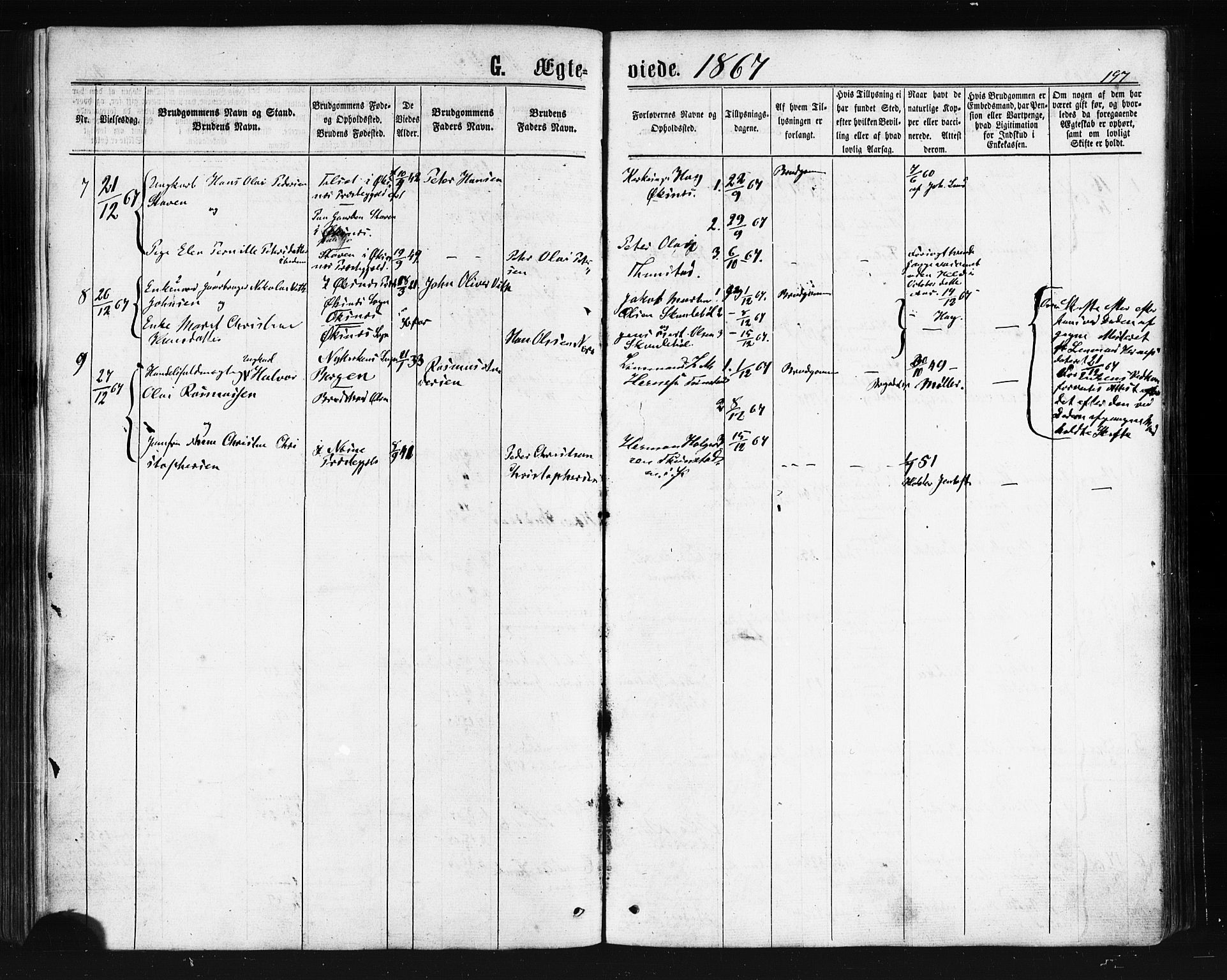 Ministerialprotokoller, klokkerbøker og fødselsregistre - Nordland, AV/SAT-A-1459/893/L1334: Parish register (official) no. 893A07, 1867-1877, p. 197